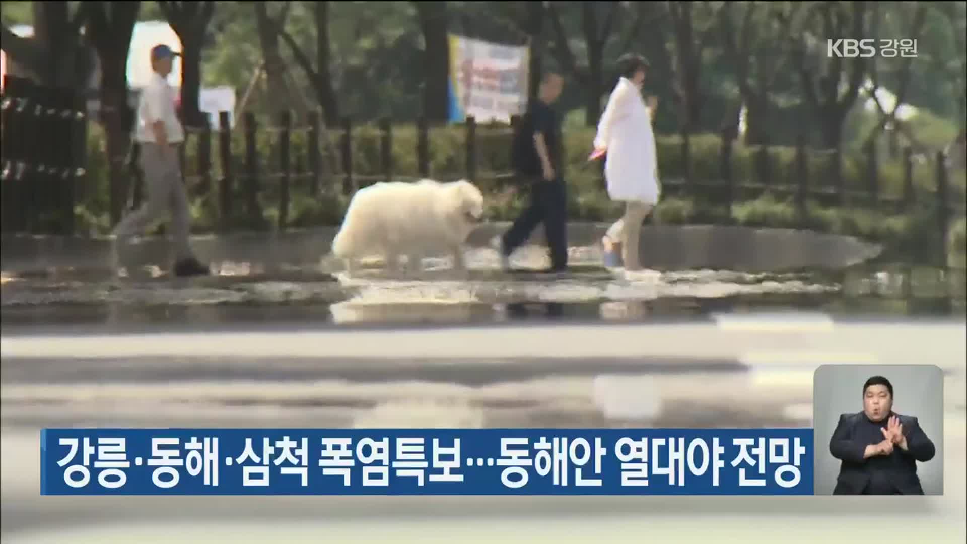 강릉·동해·삼척 폭염특보…동해안 열대야 전망