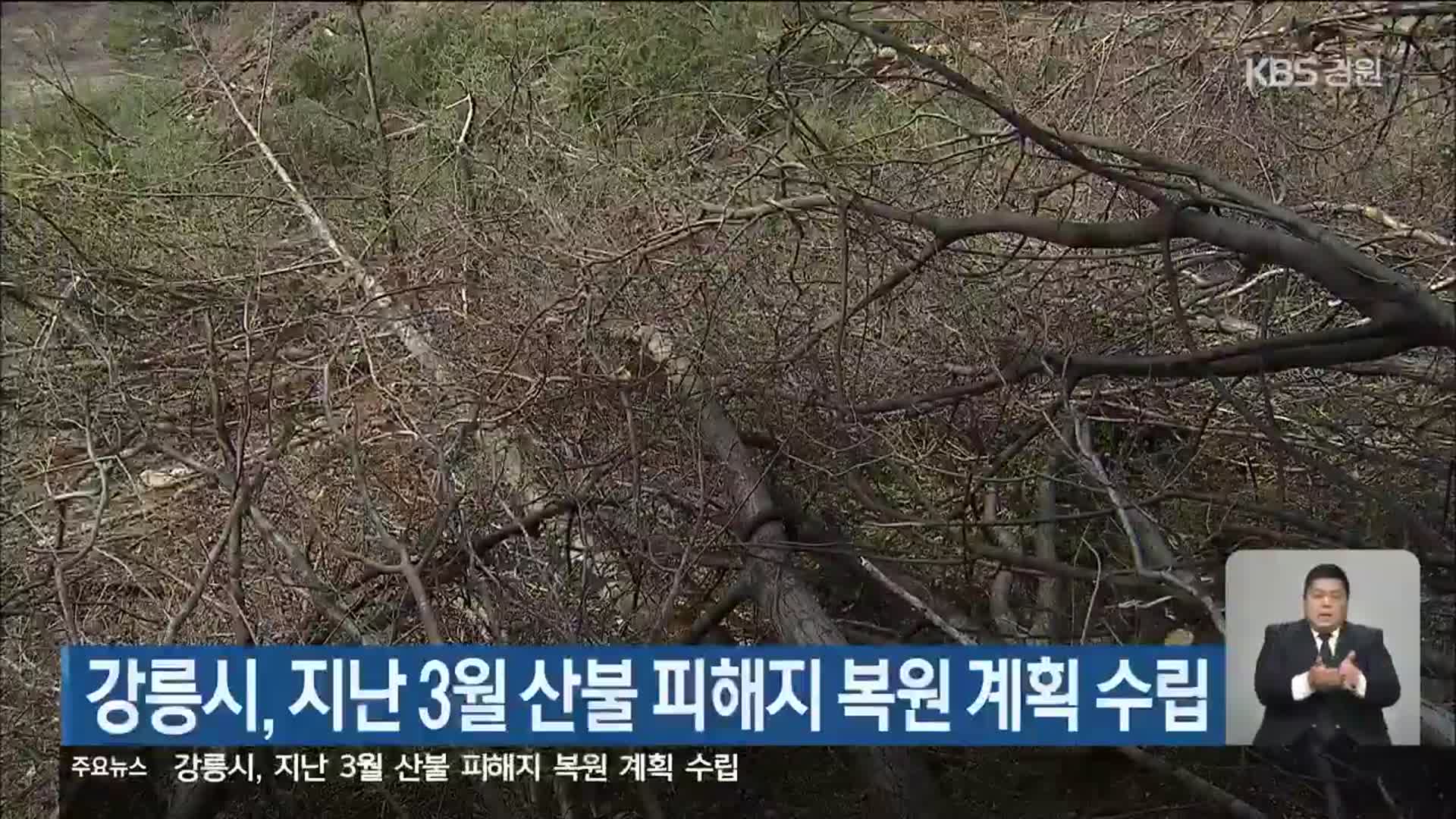 강릉시, 지난 3월 산불 피해지 복원 계획 수립