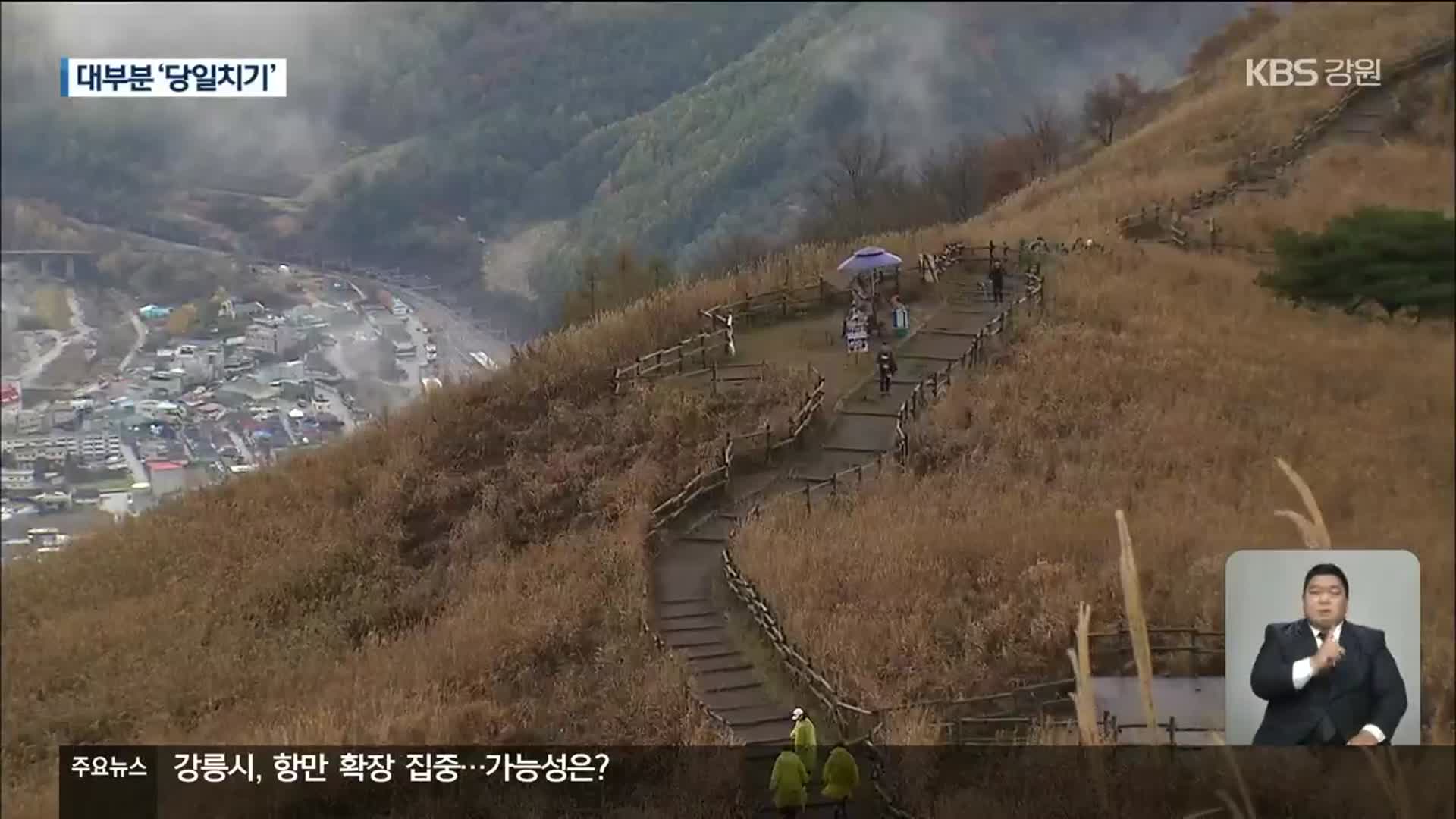 스쳐 가는 민둥산 억새 관광지…대책 고심