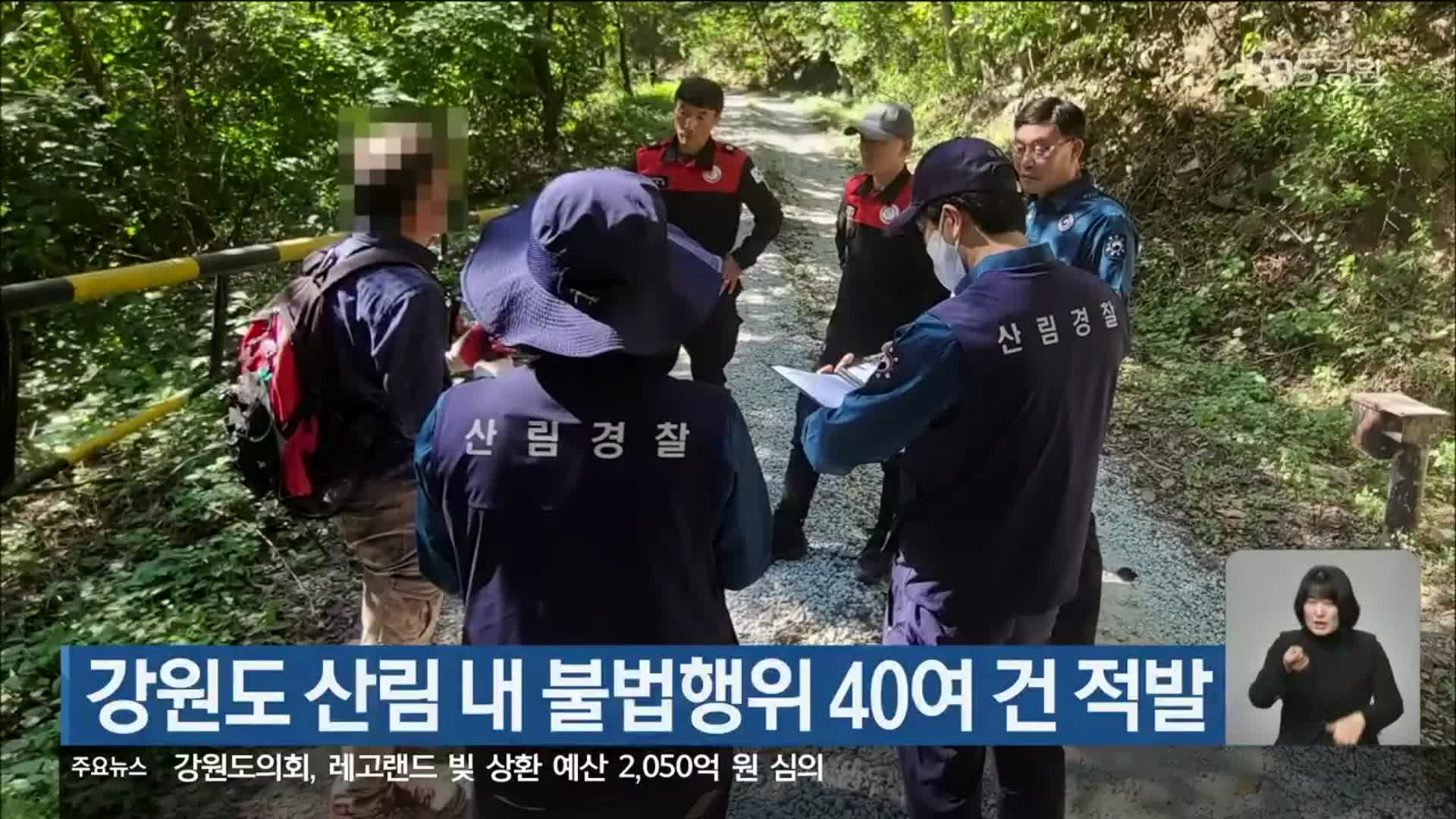 강원도 산림 내 불법행위 40여 건 적발