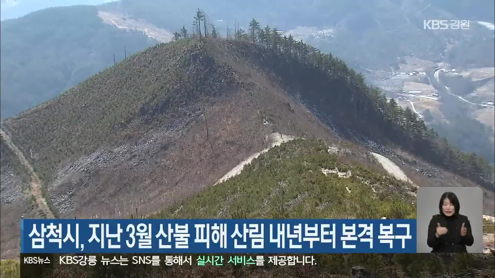 삼척시, 지난 3월 산불 피해 산림 내년부터 본격 복구