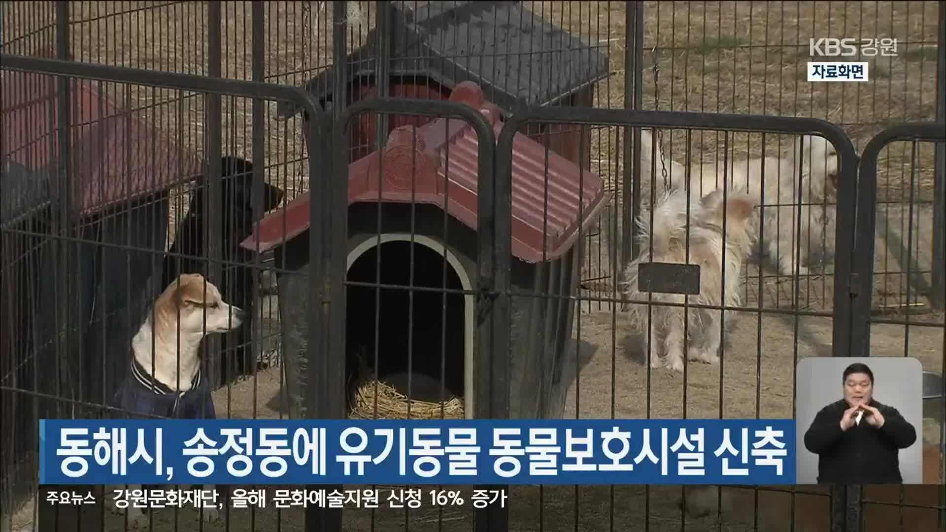 동해시, 송정동에 유기동물 동물보호시설 신축