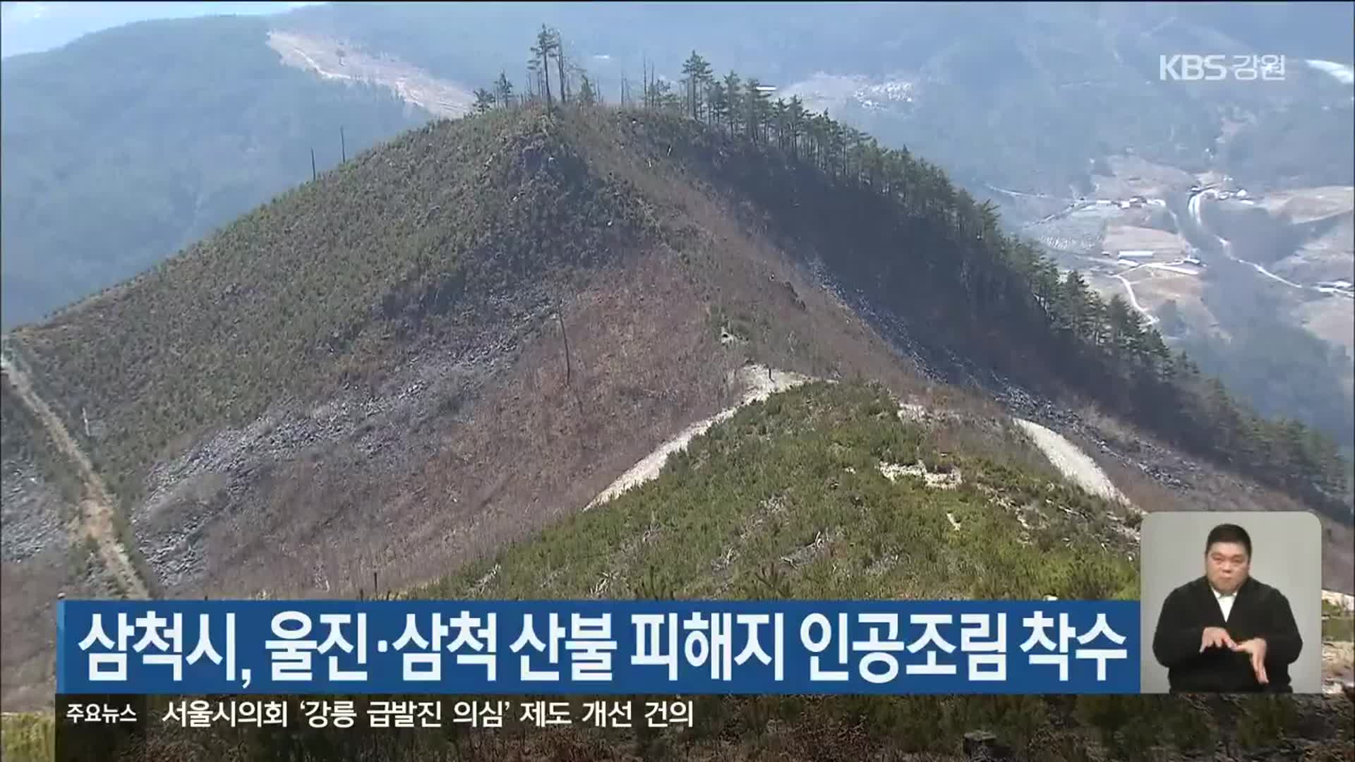 삼척시, 울진·삼척 산불 피해지 인공조림 착수