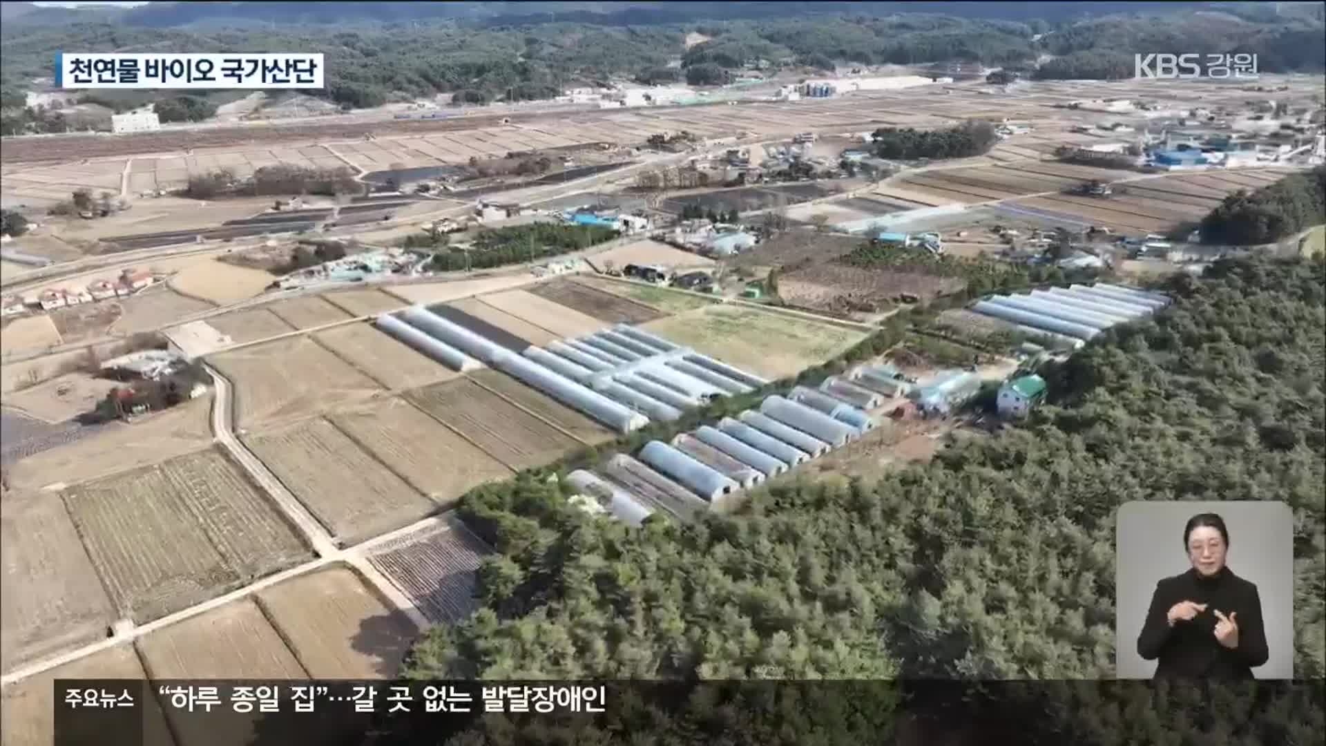 강릉 ‘천연물 바이오 국가산업단지’ 후보지…원주 반도체 기대·우려 공존