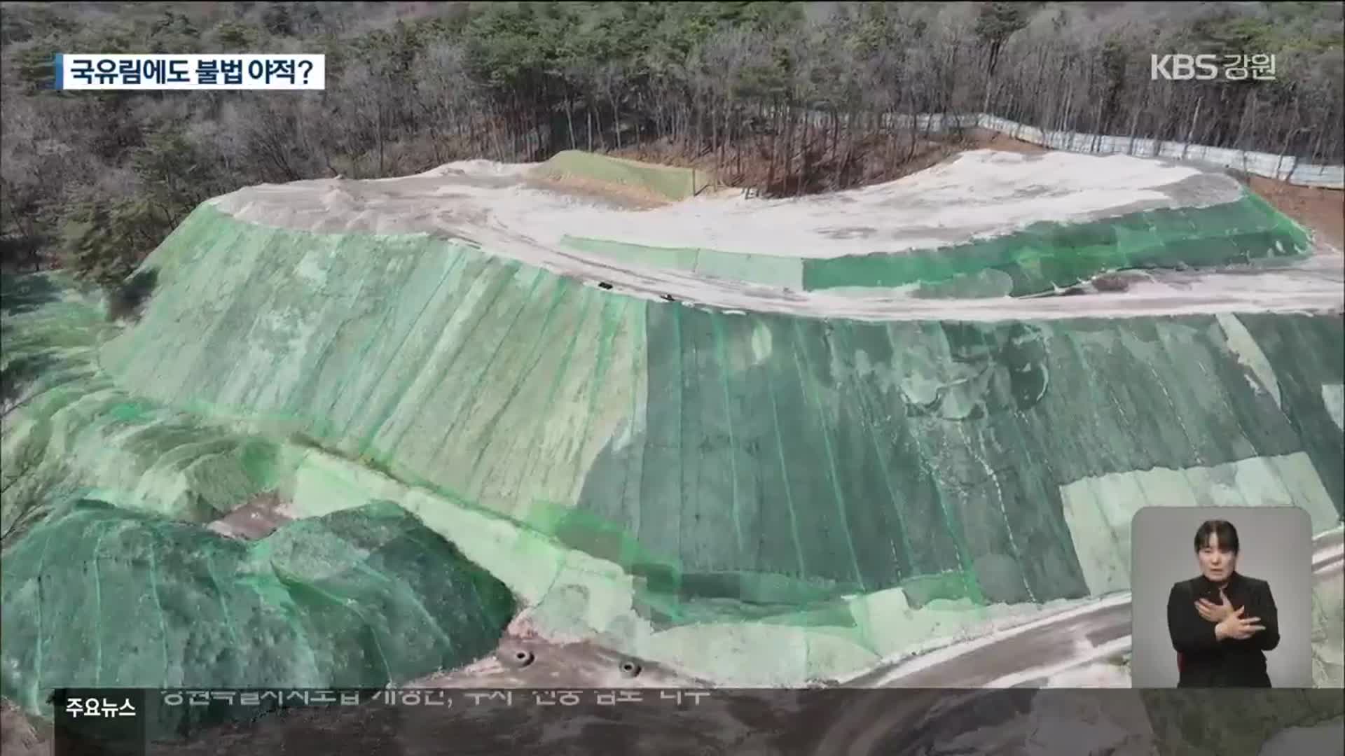 삼척 국유림 구역에 건설폐기물…불법 야적 적발
