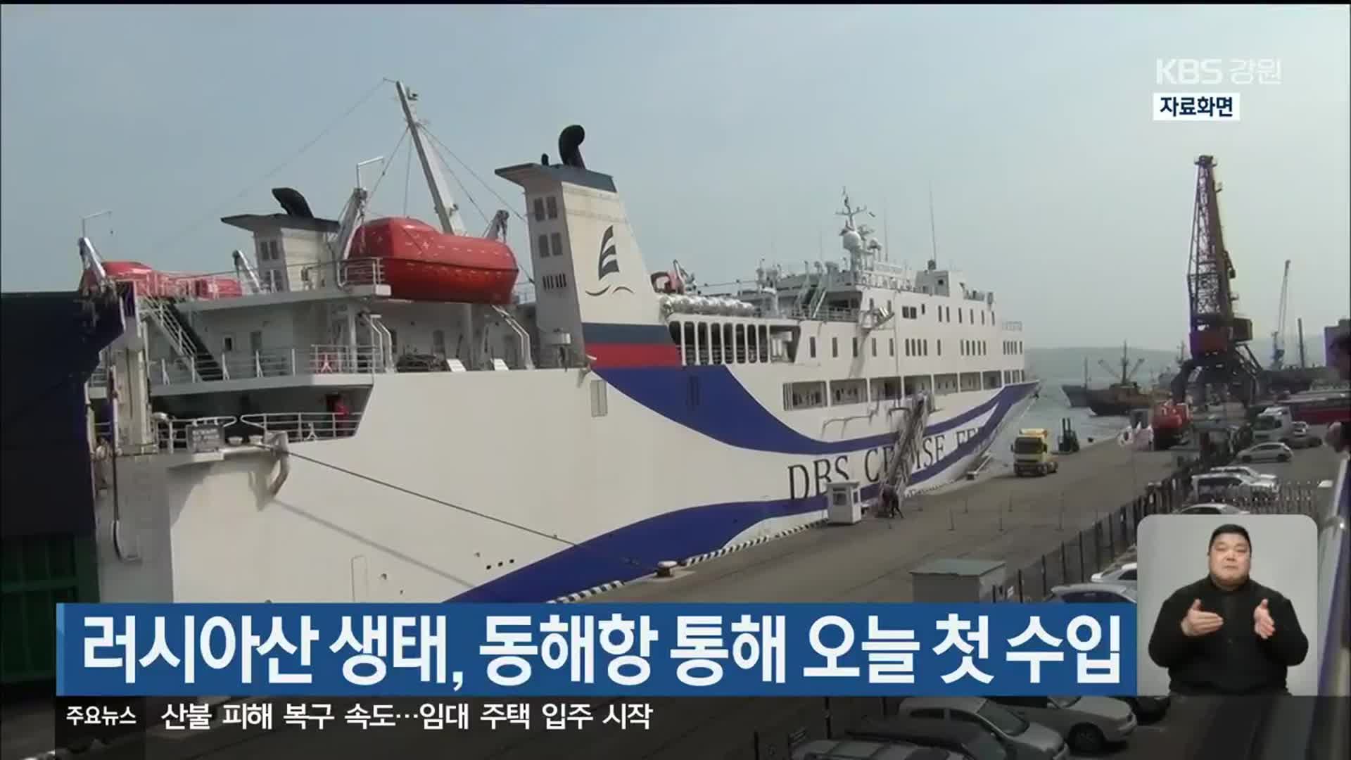 러시아산 생태, 동해항 통해 오늘 첫 수입