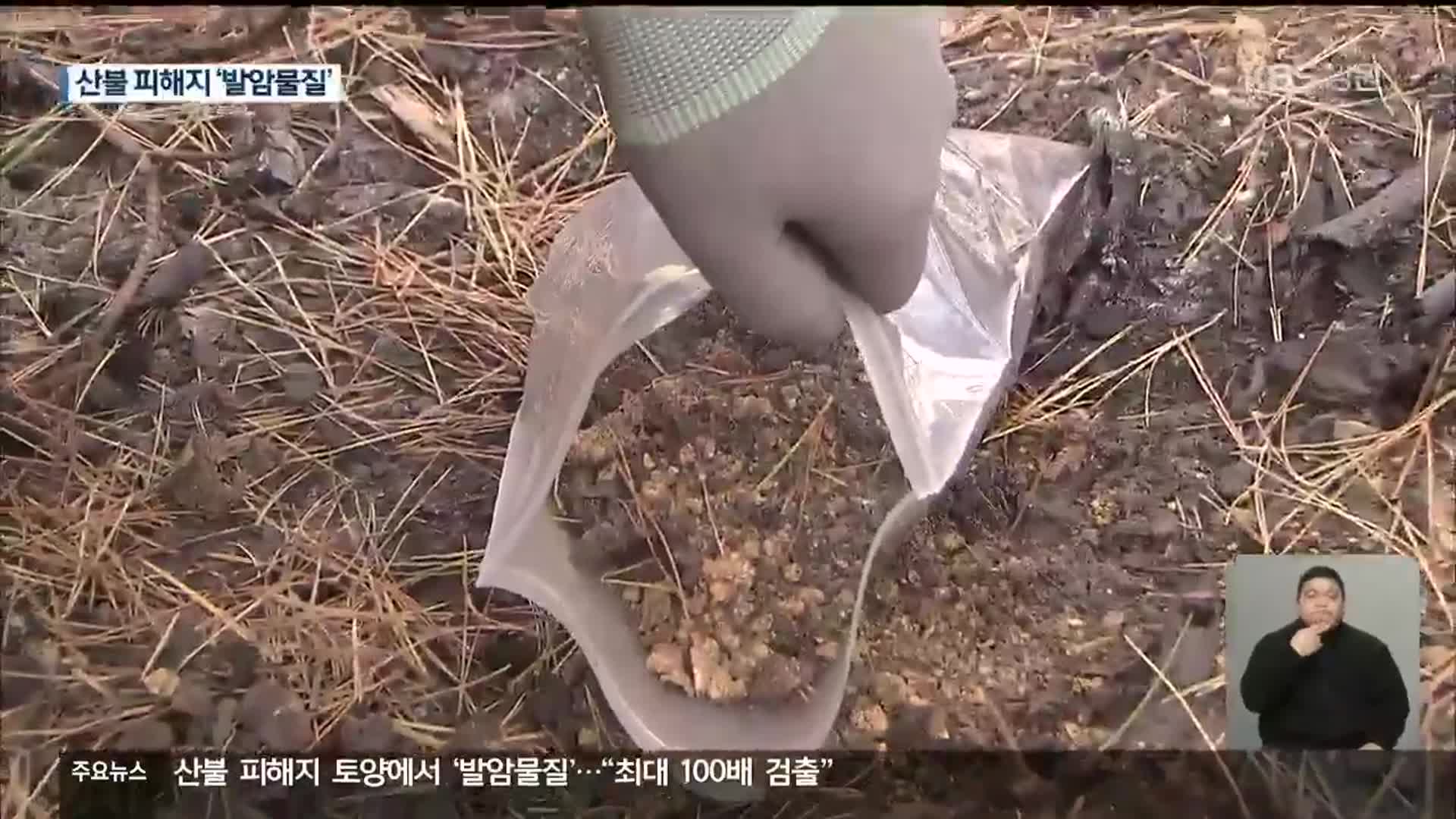 산불 피해지 토양에서 ‘발암물질’…“최대 100배 검출”