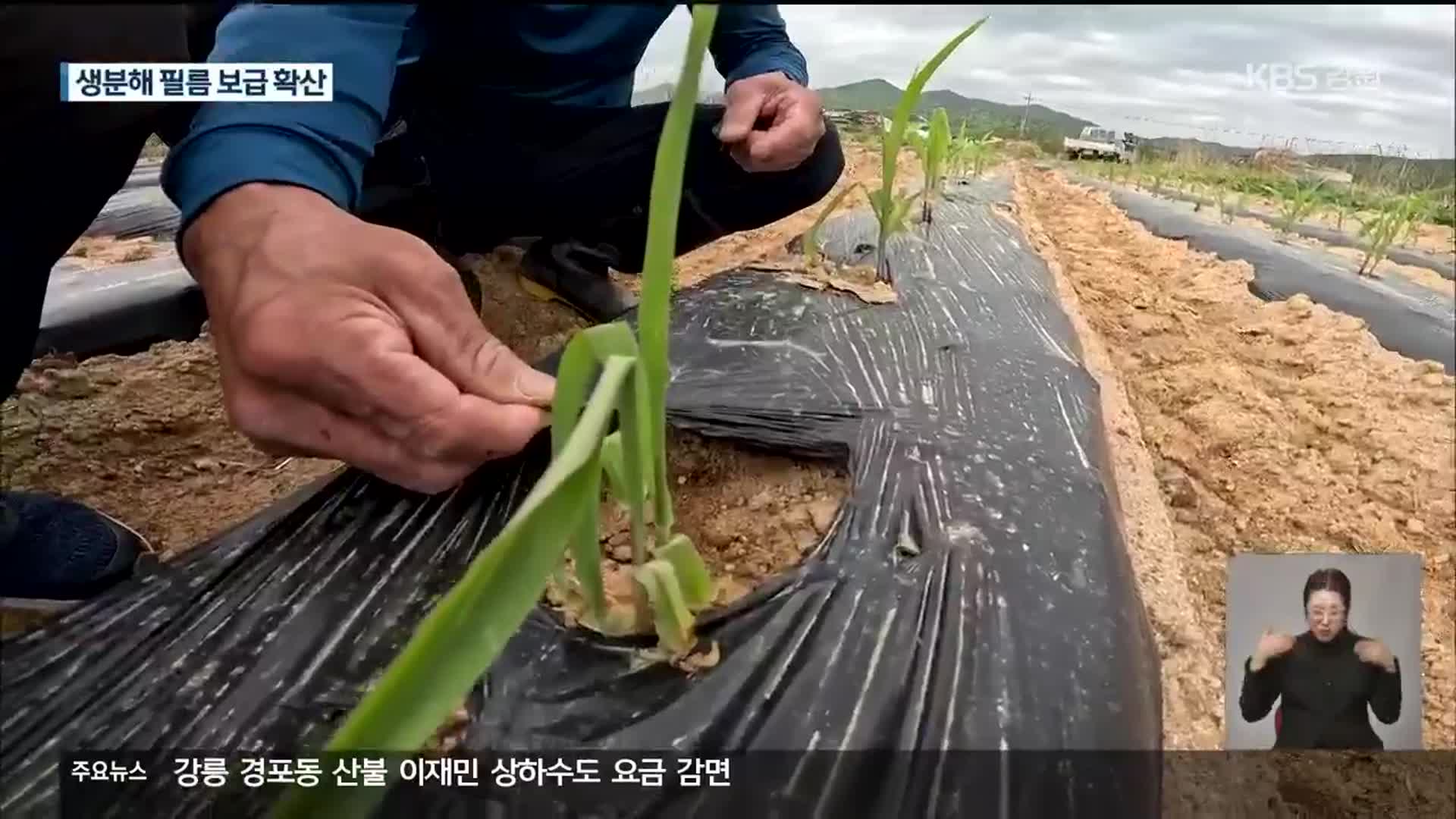 농촌 폐비닐을 줄이자…생분해성 필름 보급 확산