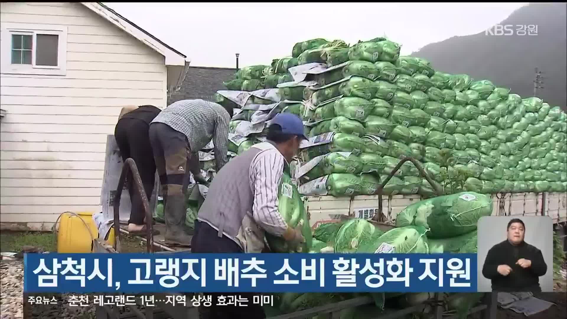 삼척시, 고랭지 배추 소비 활성화 지원