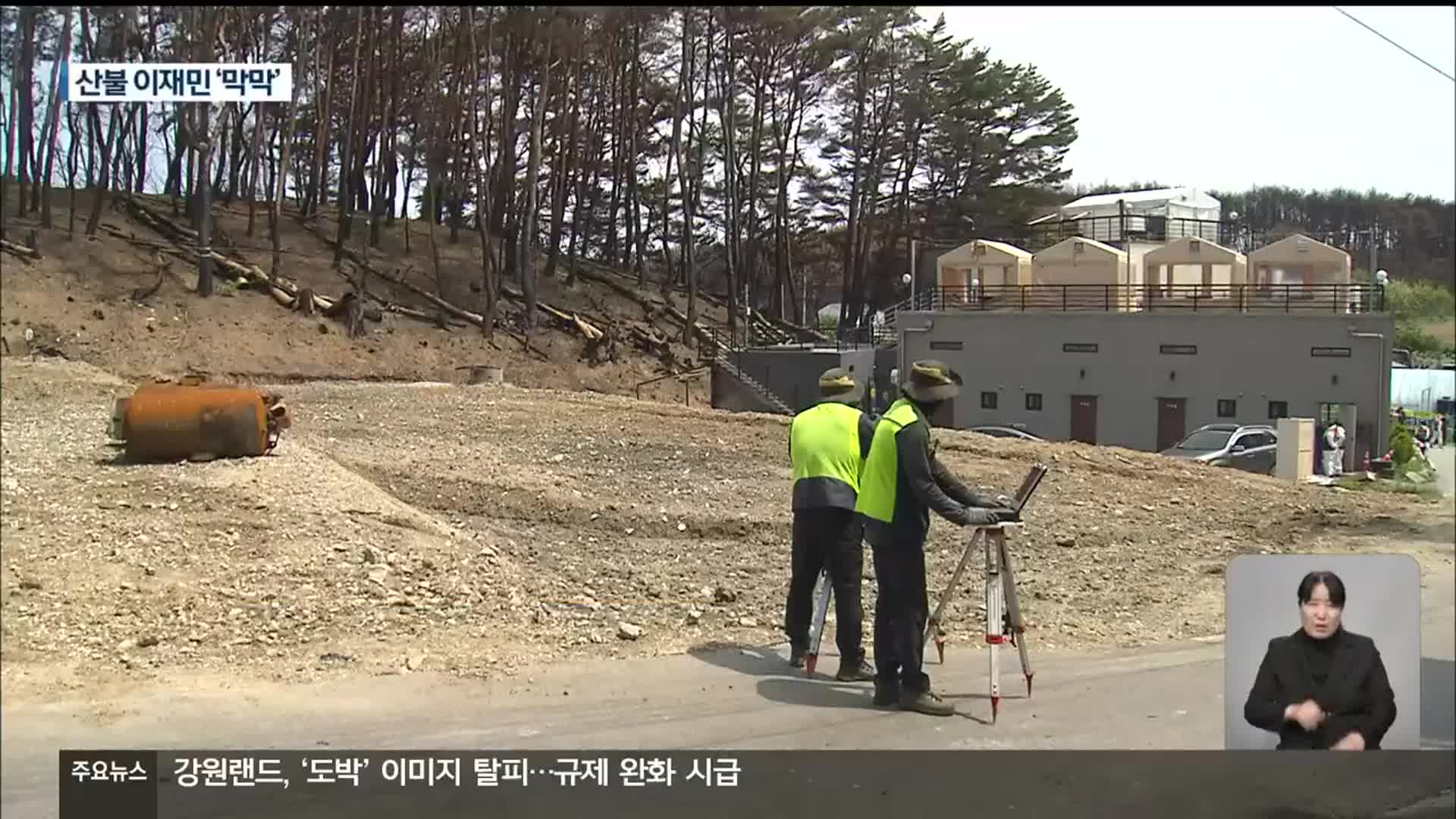강릉 경포동 산불 한 달…복구 시작됐지만 ‘막막’