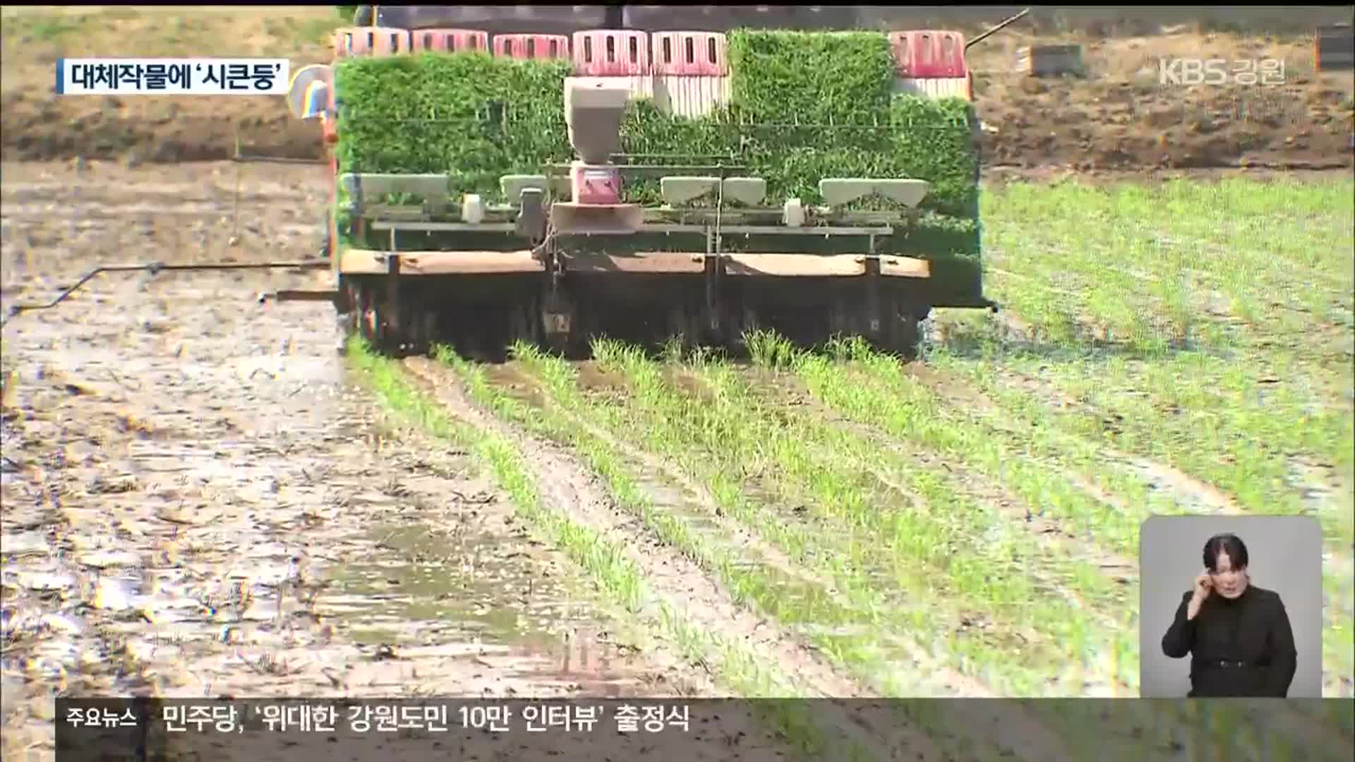 쌀 대신 대체작물?…농민은 ‘시큰둥’