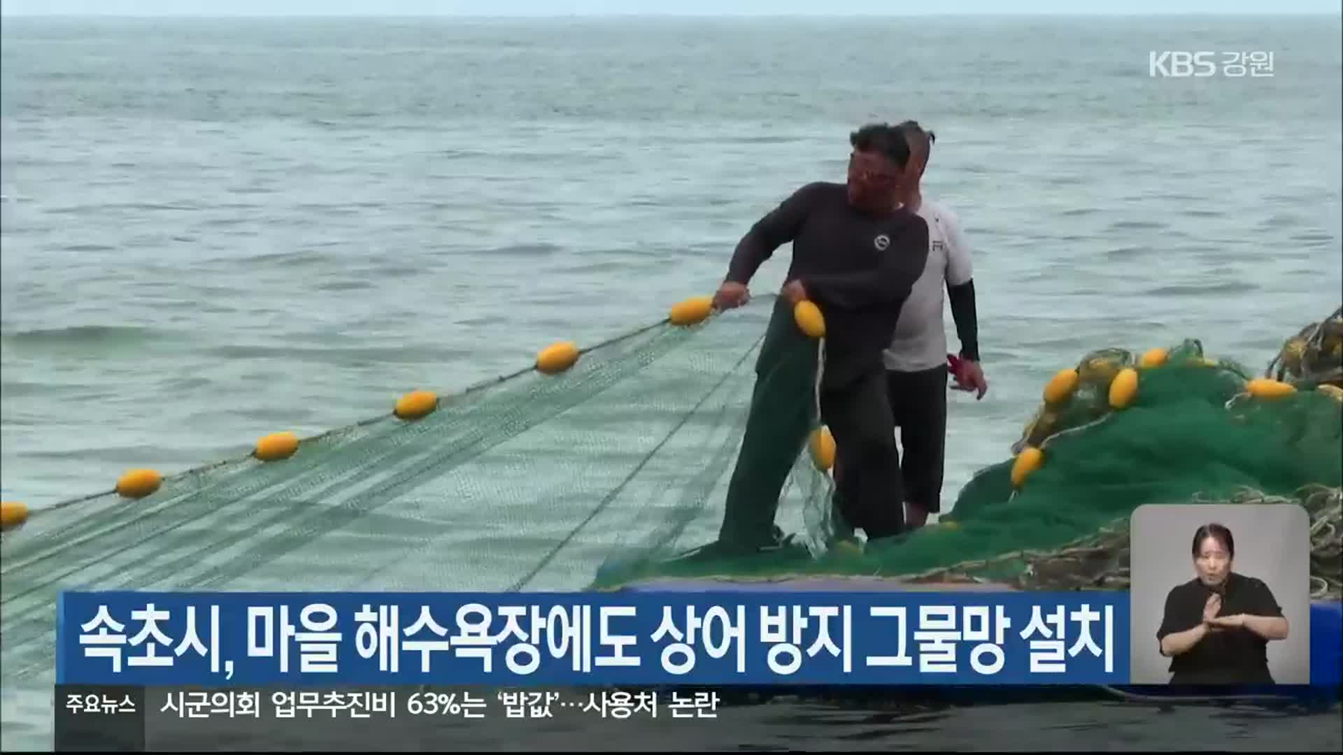 속초시, 마을 해수욕장에도 상어 방지 그물망 설치