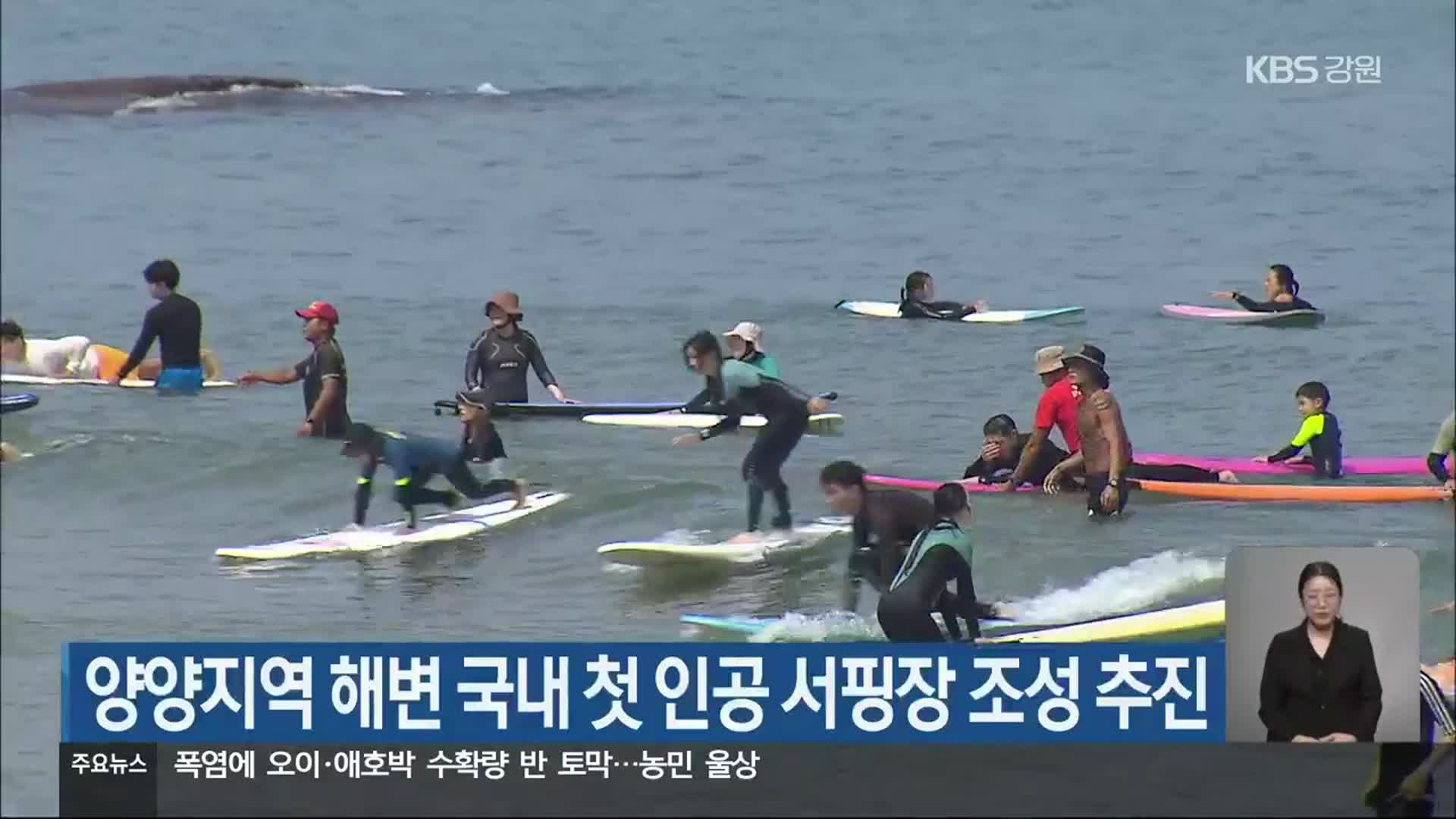 양양지역 해변 국내 첫 인공 서핑장 조성 추진