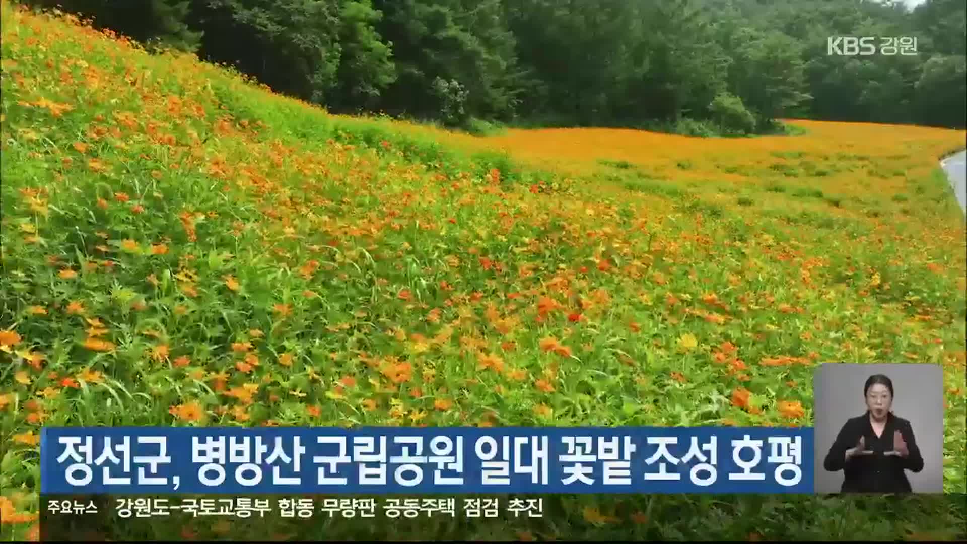 정선군, 병방산 군립공원 일대 꽃밭 조성 호평