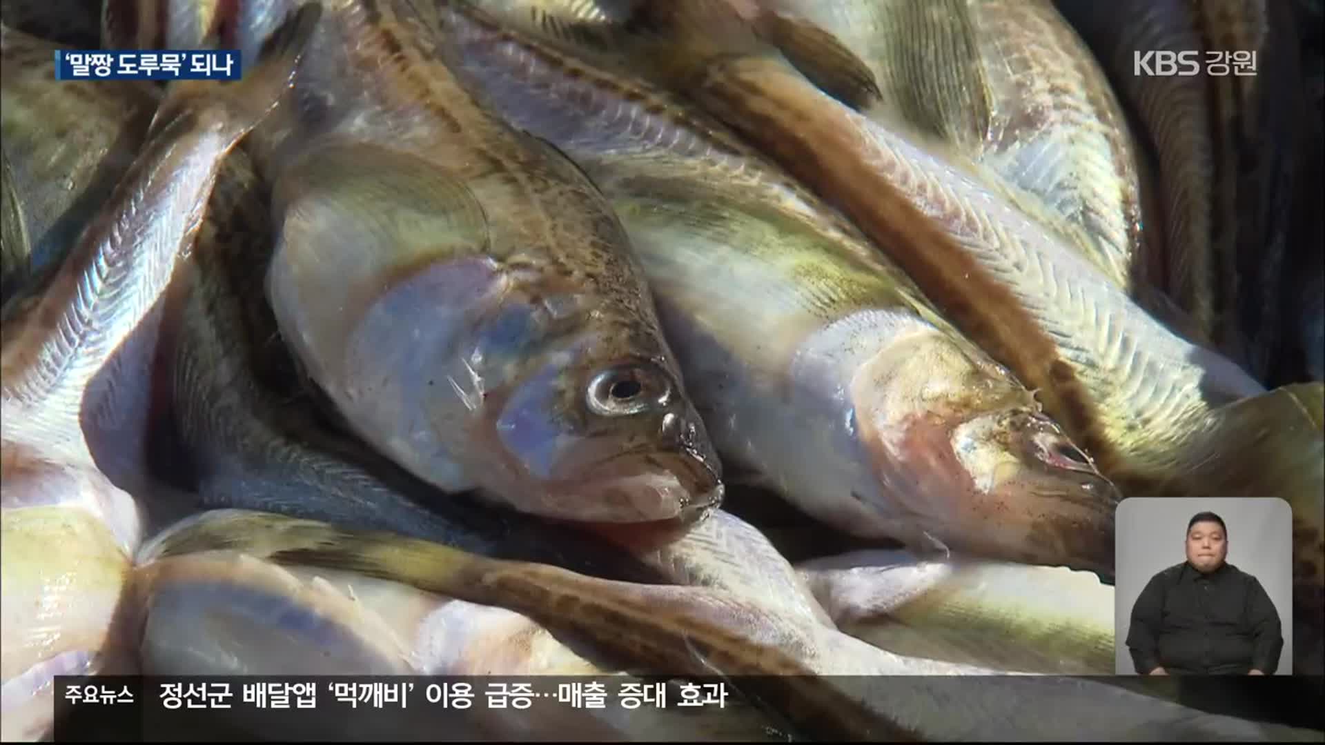 애써 자원 회복했는데…‘말짱 도루묵’ 되나