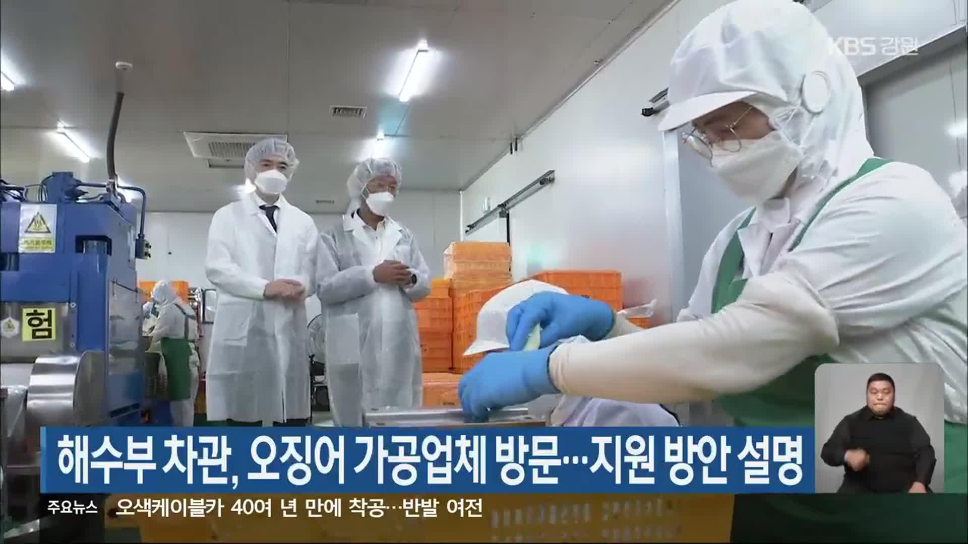박성훈 해수부 차관, 오징어 가공업체 방문…지원 방안 설명