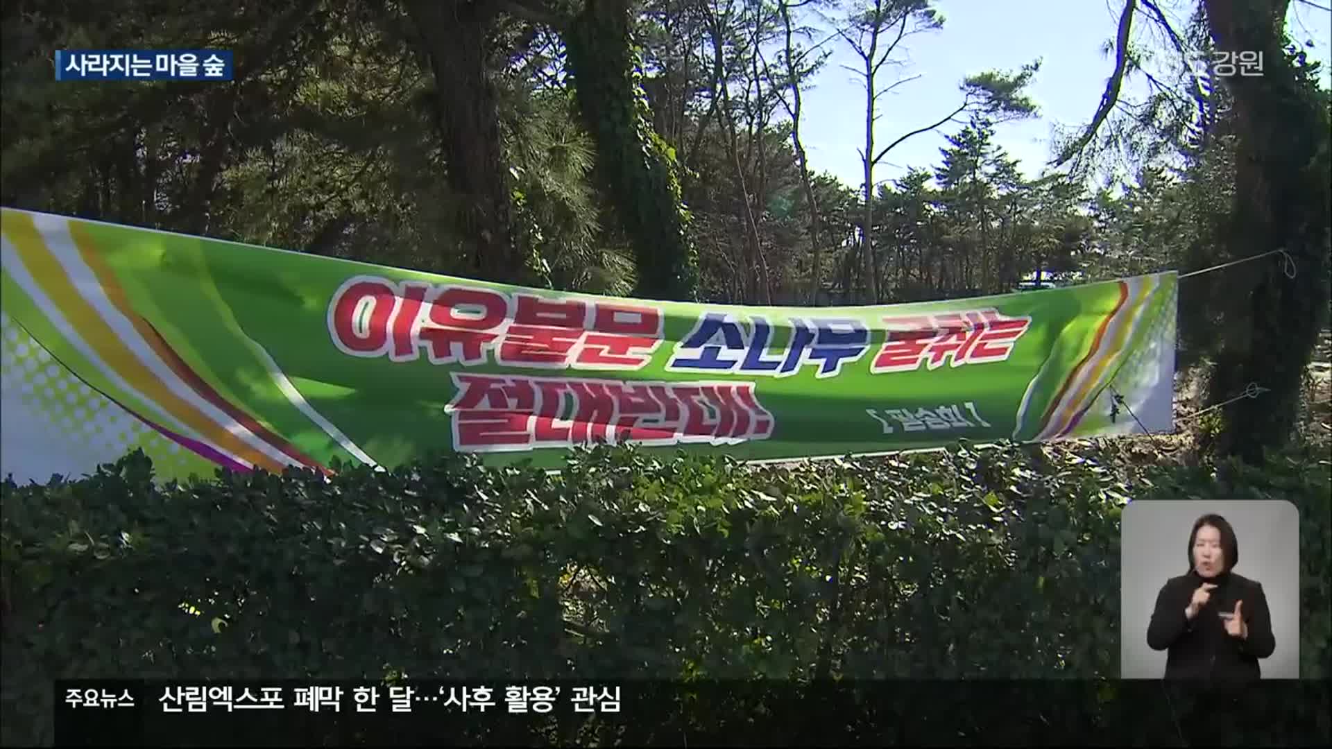 위기의 마을 숲…“상생 방안 찾아야!”