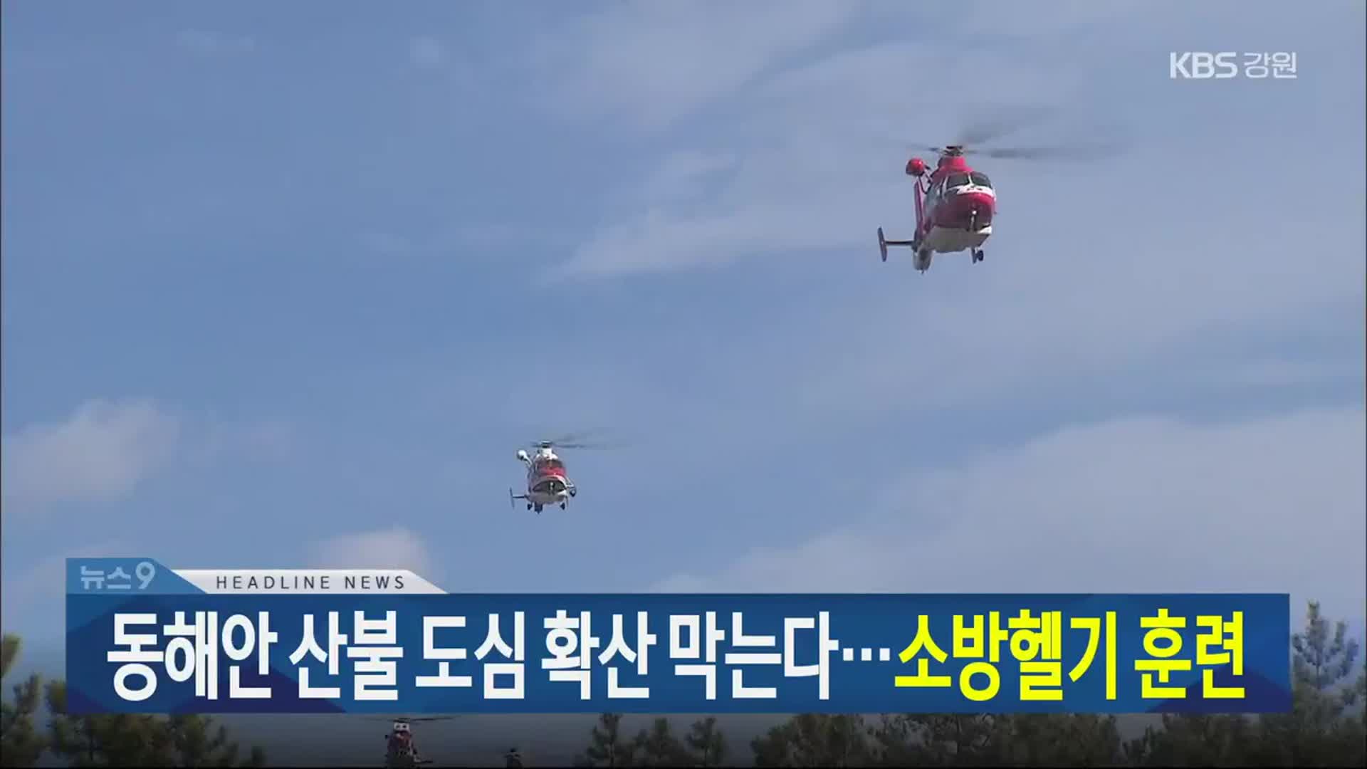 [뉴스9 강릉 헤드라인]