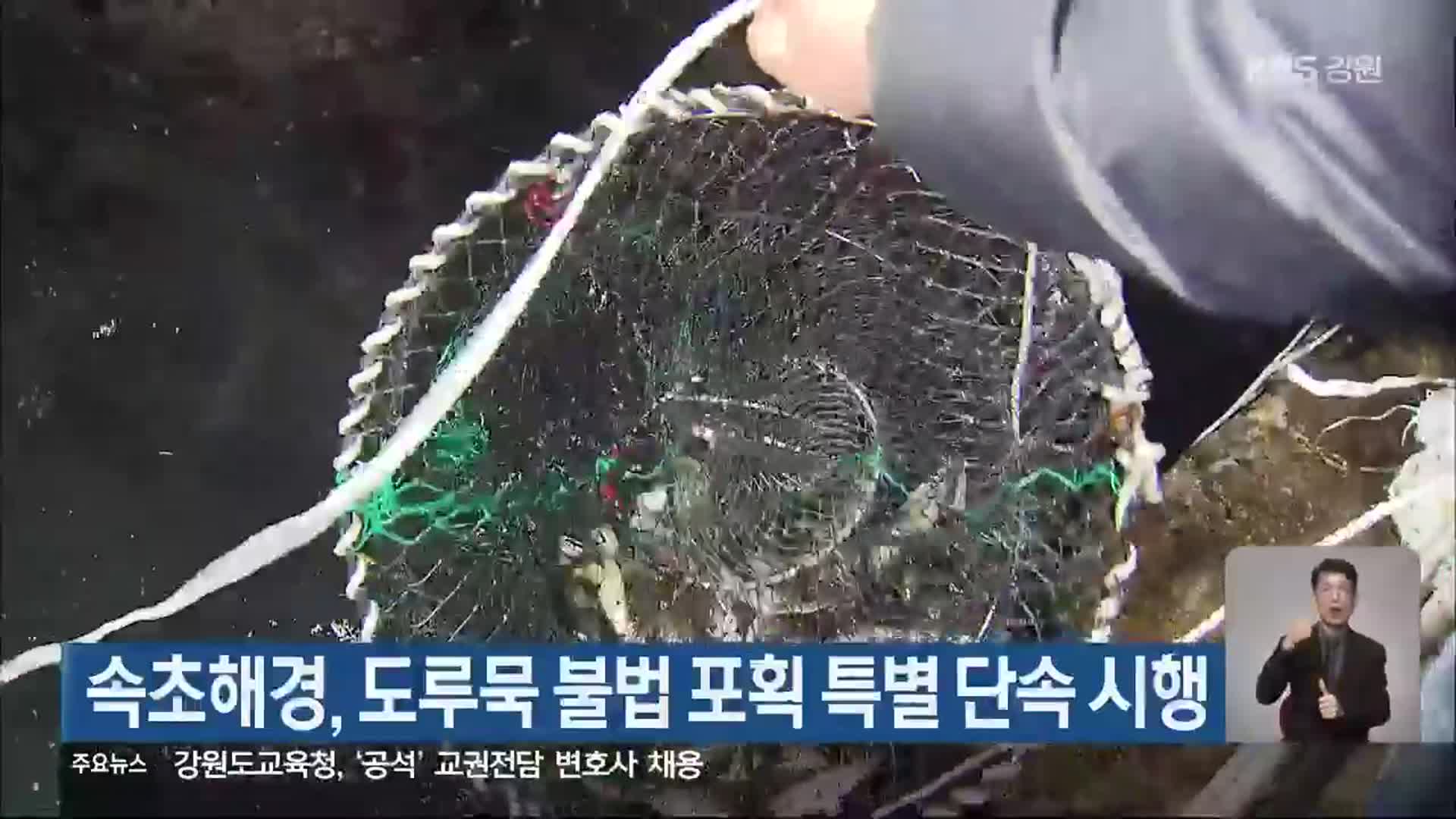 속초해경, 도루묵 불법 포획 특별 단속 시행