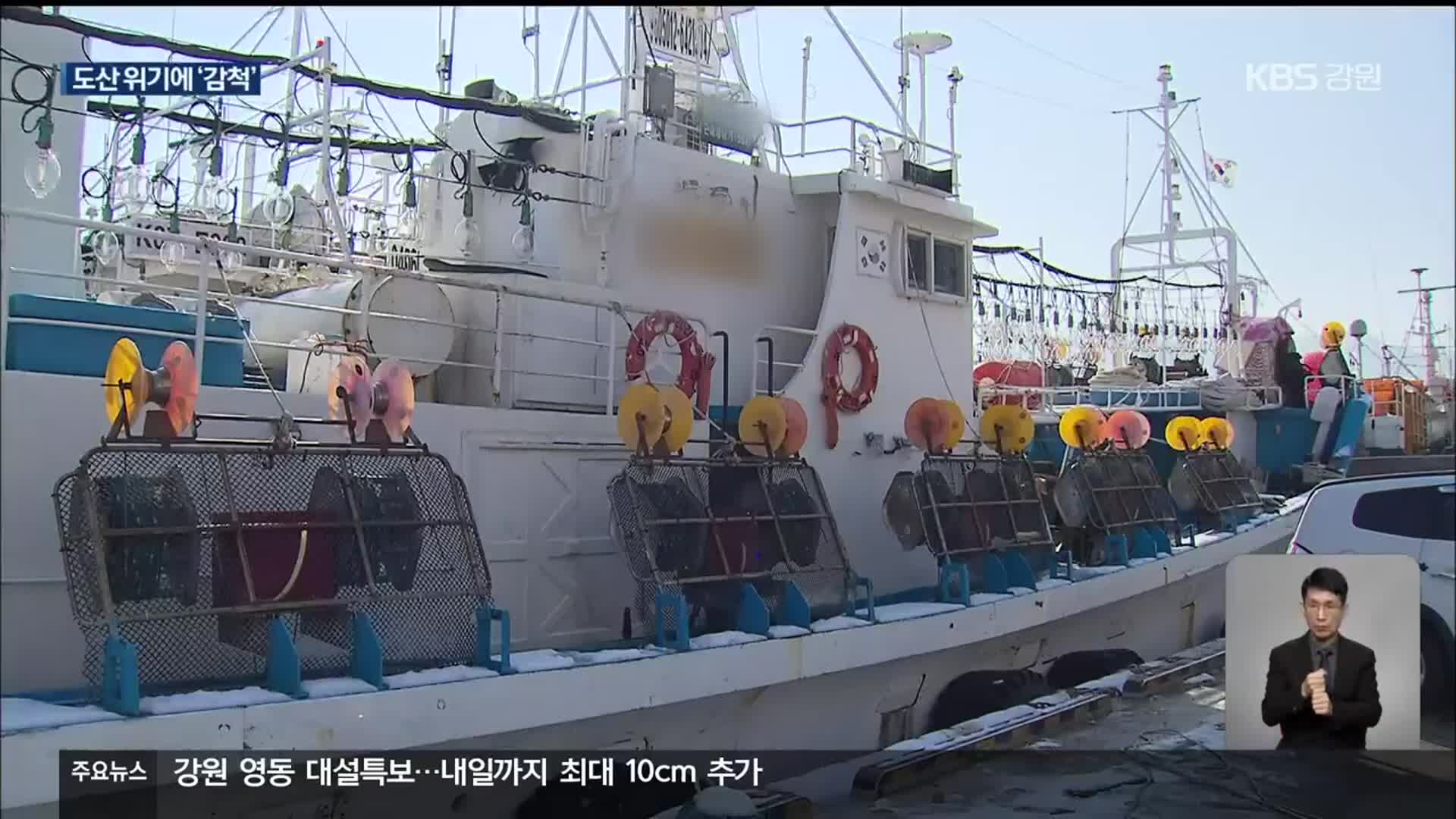 도산 위기에 오징어 어선 ‘포기’…감척 신청 잇따라