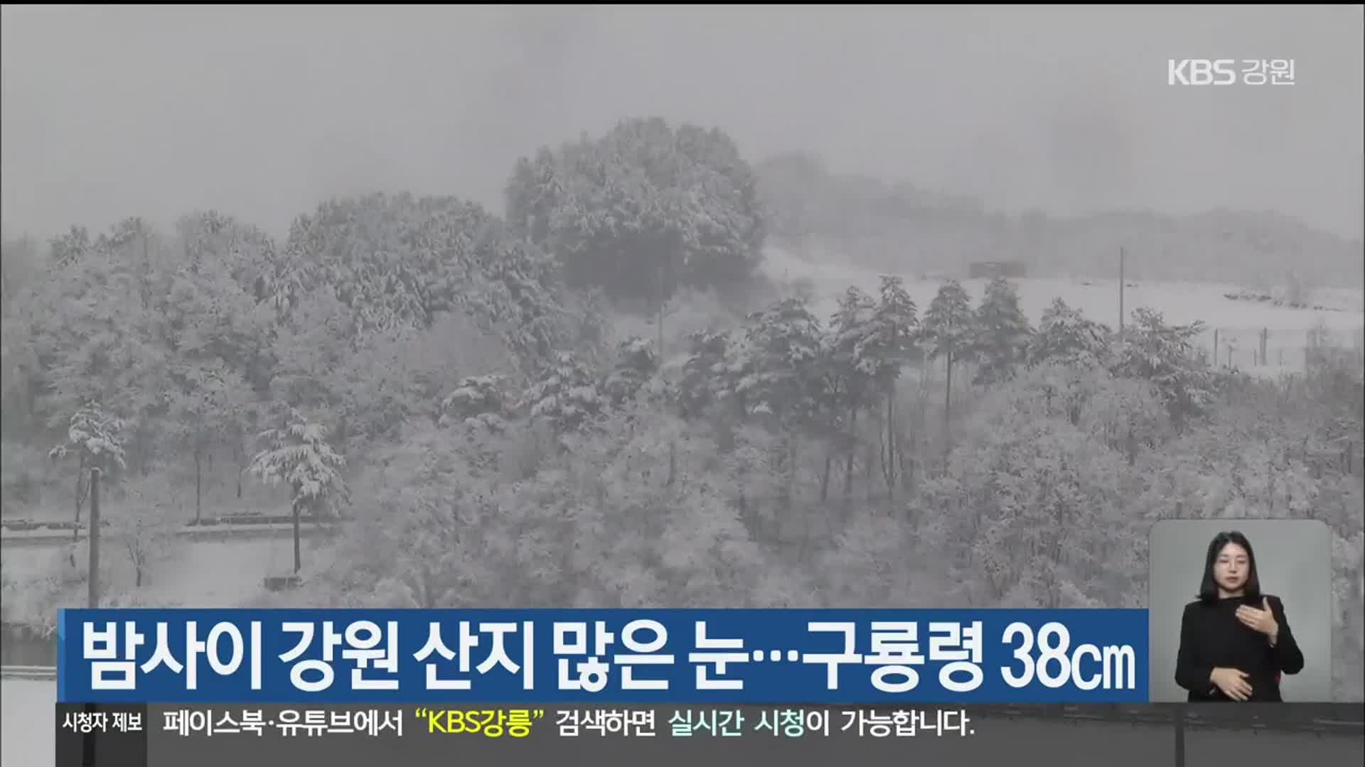 밤사이 강원 산지 많은 눈…구룡령 38cm