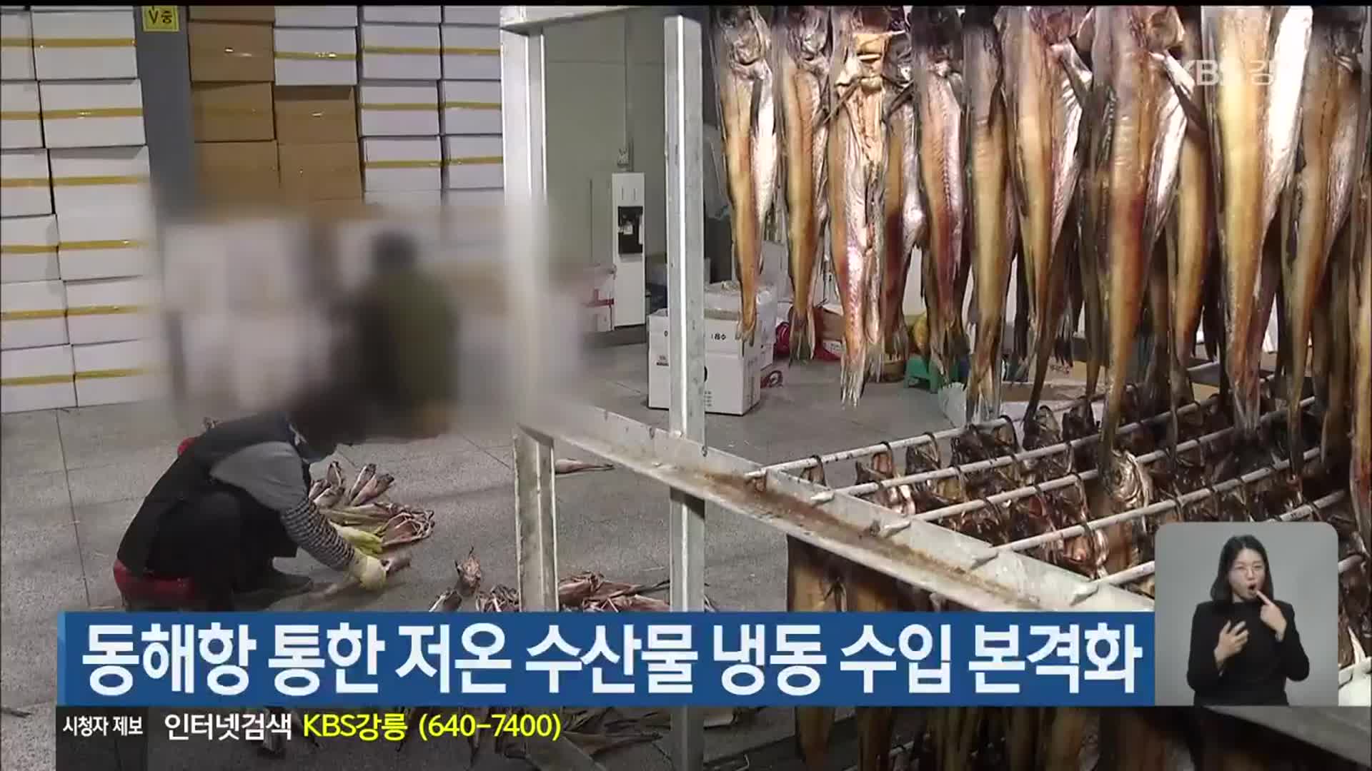 동해항 통한 저온 수산물 냉동 수입 본격화