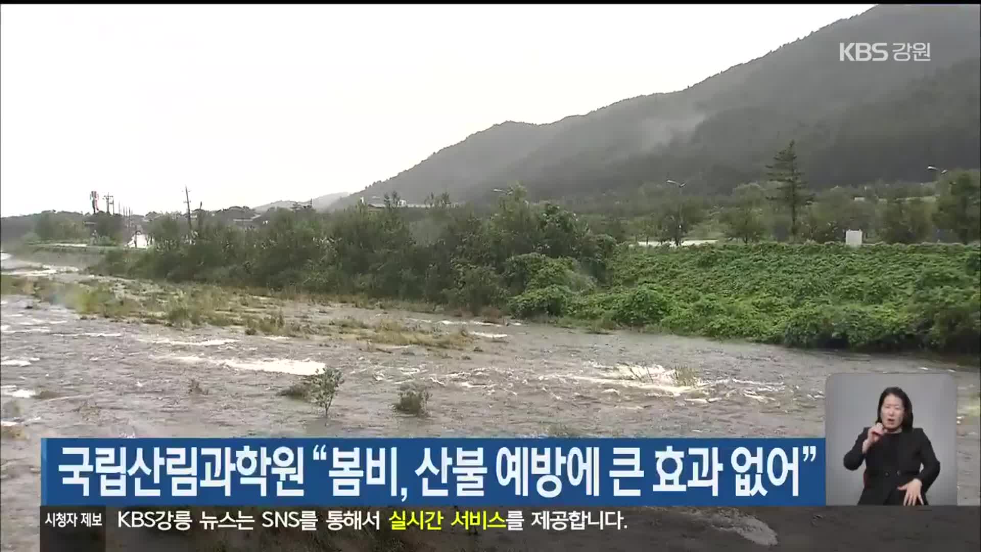 국립산림과학원 “봄비, 산불 예방에 큰 효과 없어”