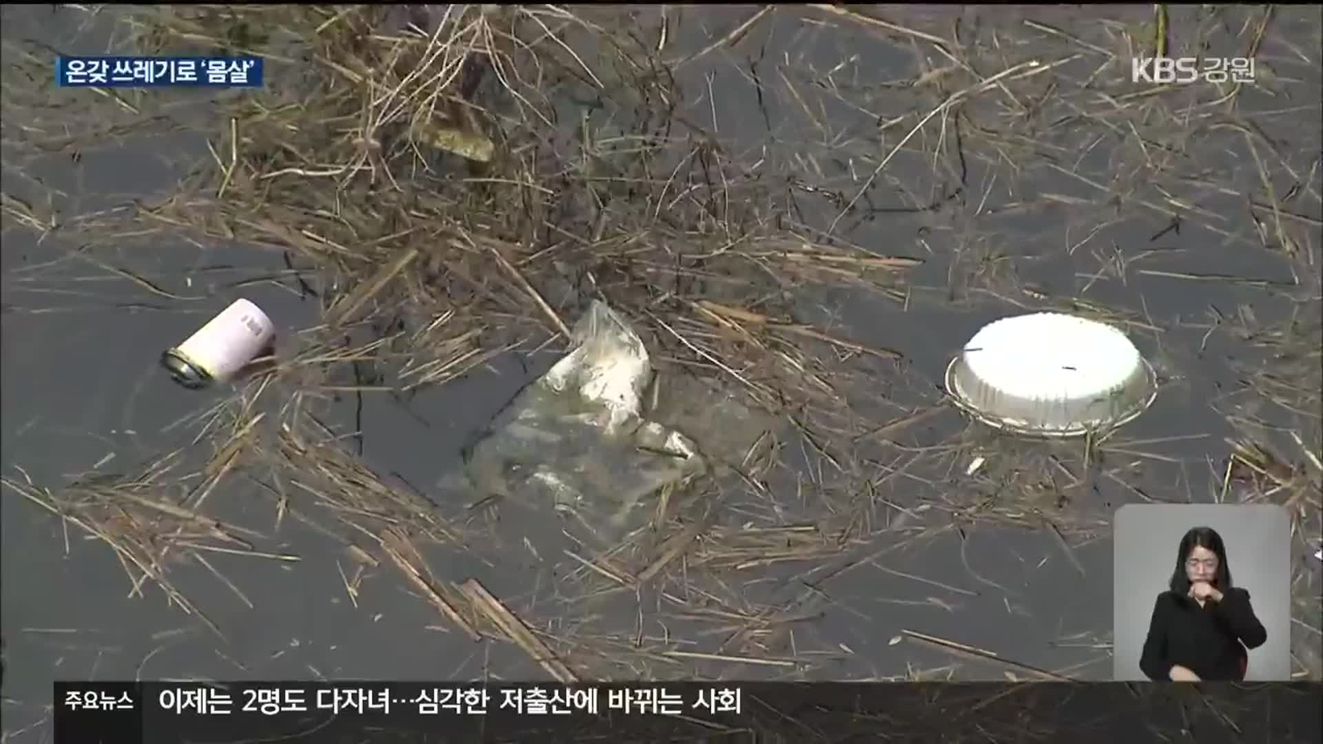 “호수? 아니면 쓰레기장?”…도심 호수 쓰레기로 ‘몸살’