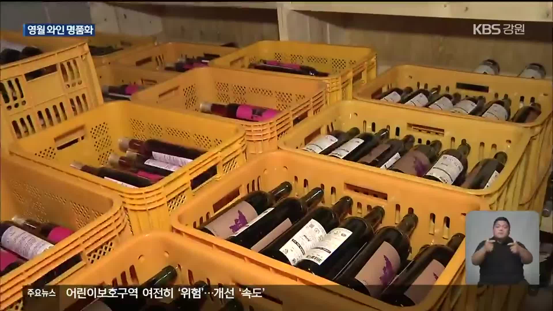 영월 와인 명품화 추진…“마을 전체 생산기지화”