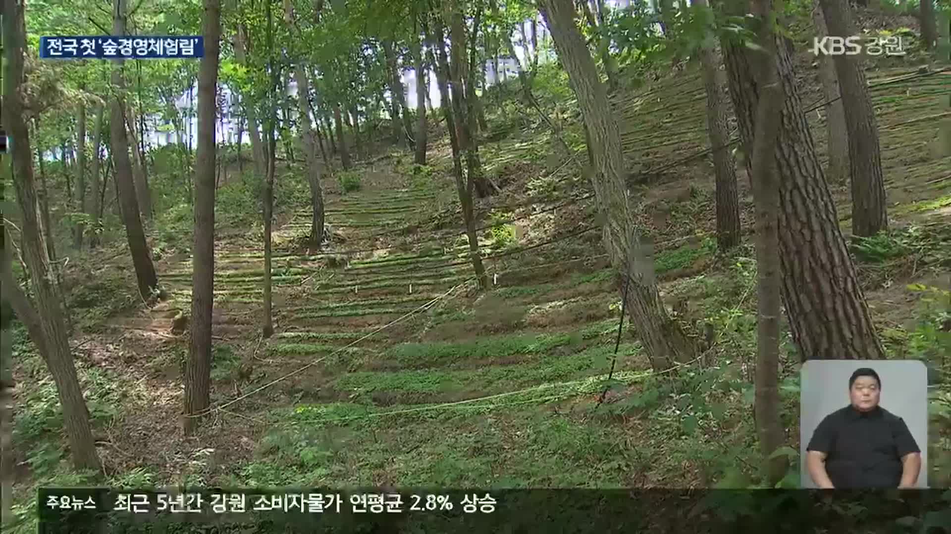 바라만 보던 ‘보전산지’, 소득원으로 변신…전국 첫 ‘숲경영체험림’ 조성