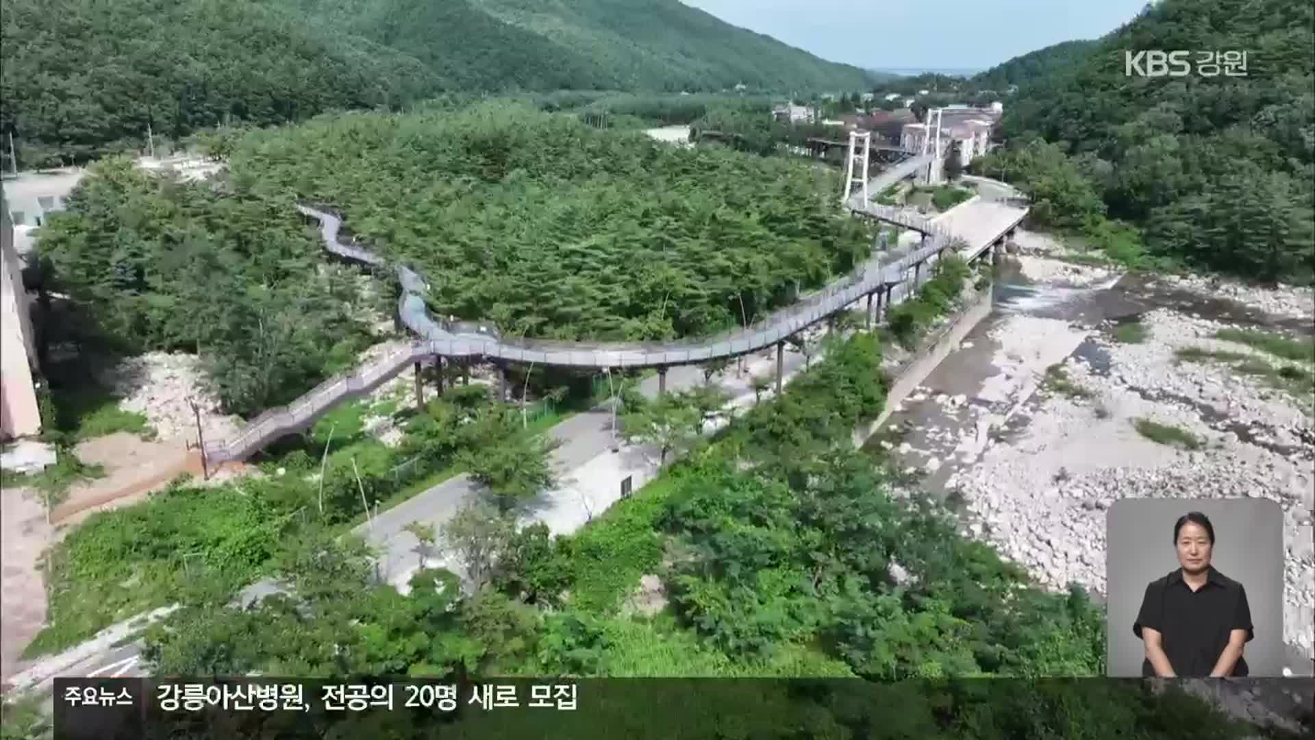 스카이워크 ·출렁다리 개통…설악동 활성화 시동