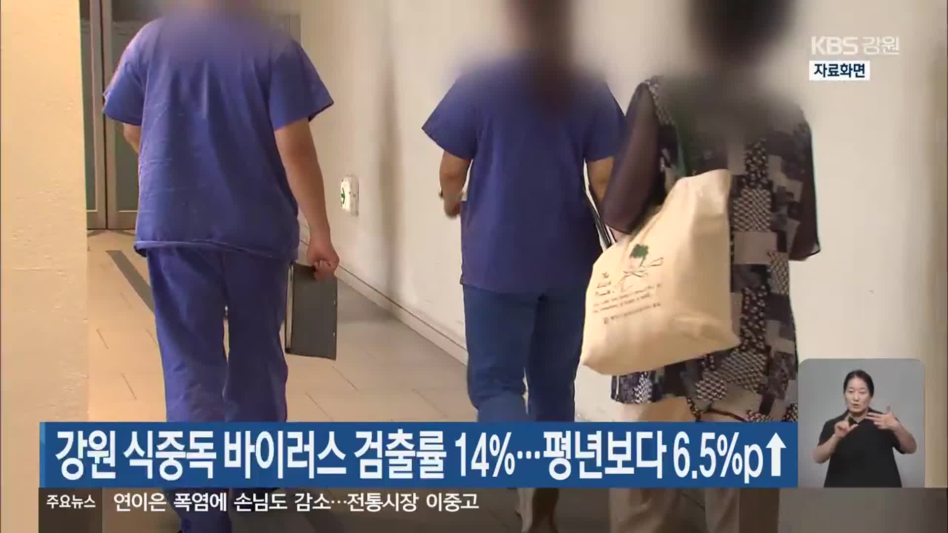 강원 식중독 바이러스 검출률 14%…평년보다 6.5%p ↑