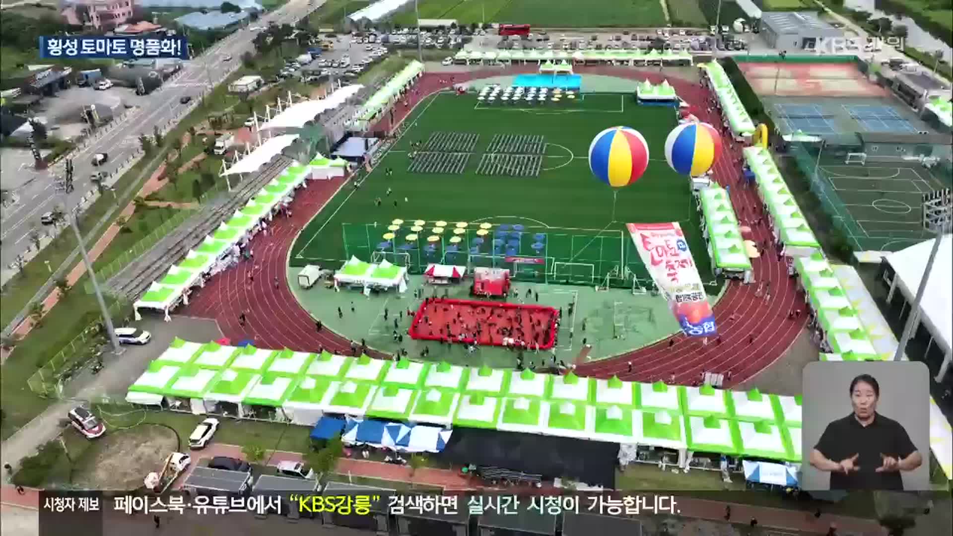 횡성 ‘둔내토마토축제’ 개막…“고랭지 토마토 맛보러 오세요”