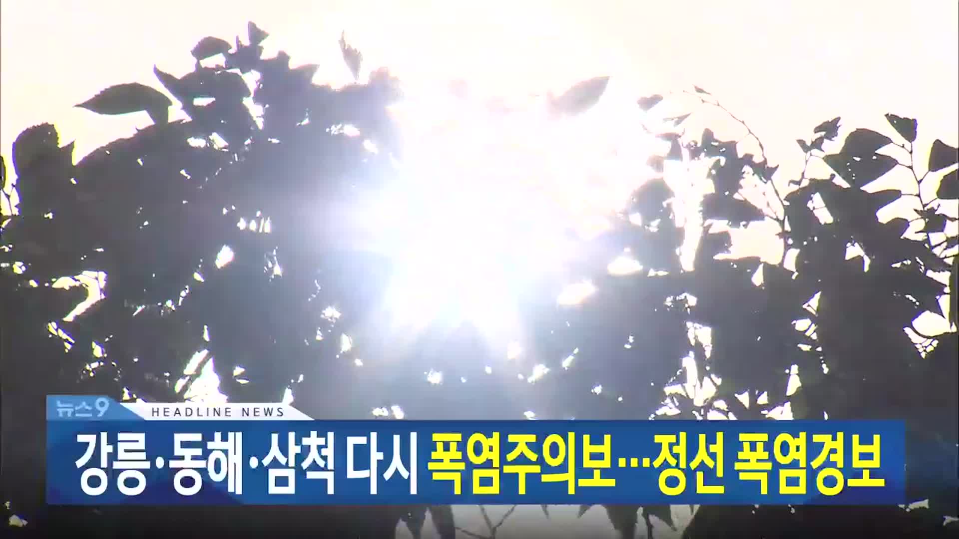 [뉴스9 강릉 헤드라인]