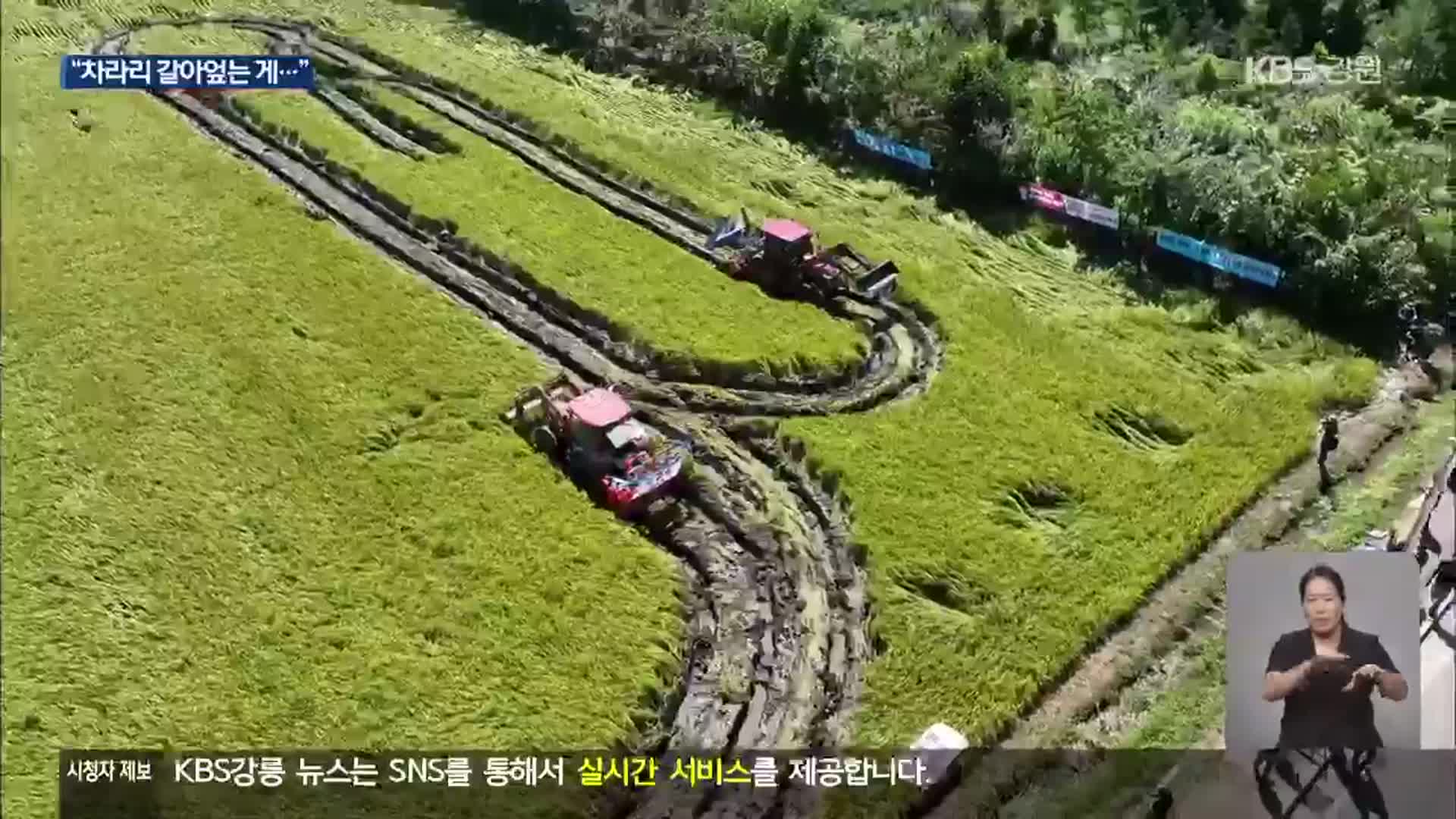 “차라리 논 갈아엎는다”…쌀값 하락 대책 촉구