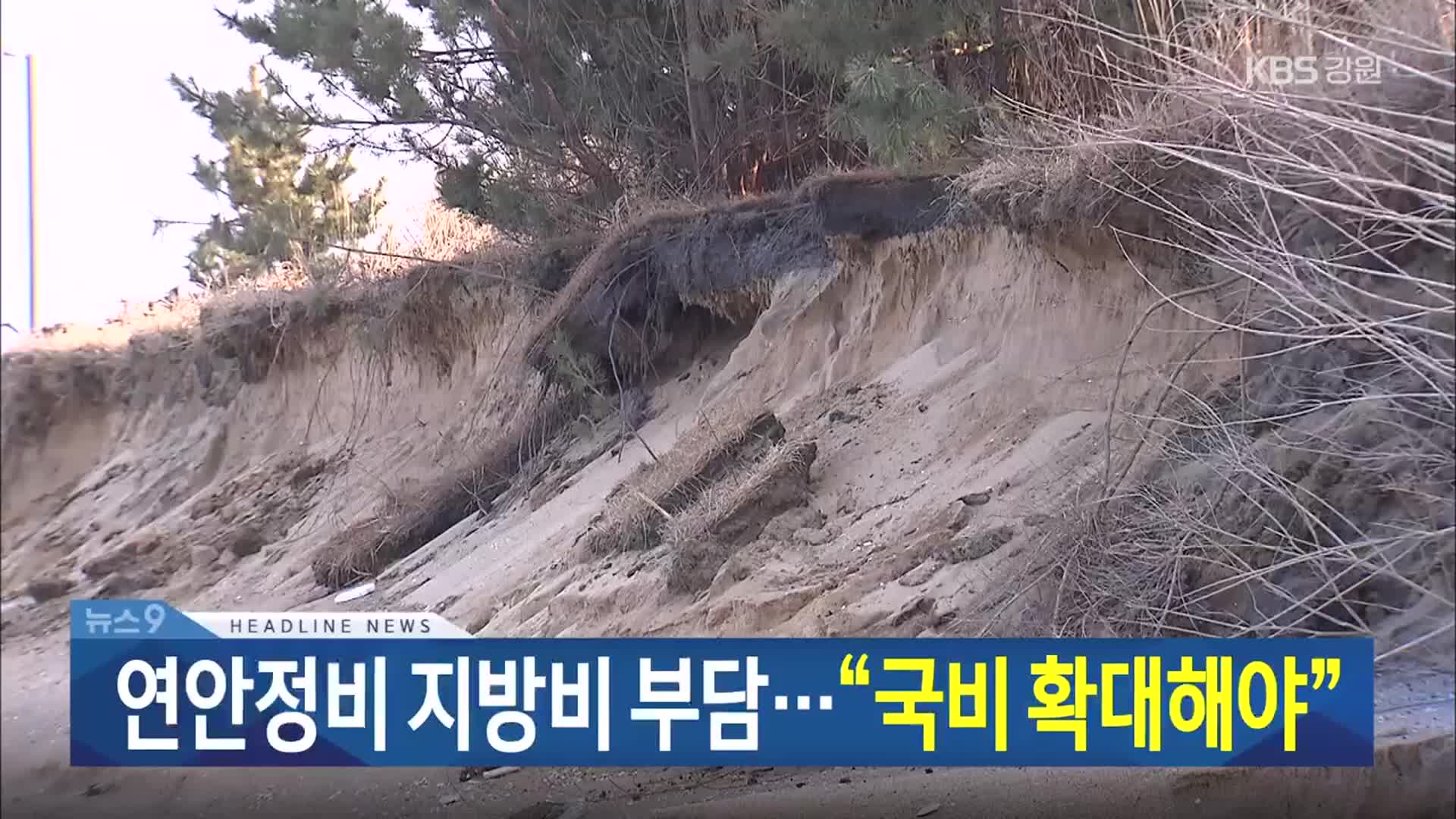 [뉴스9 강릉 헤드라인]