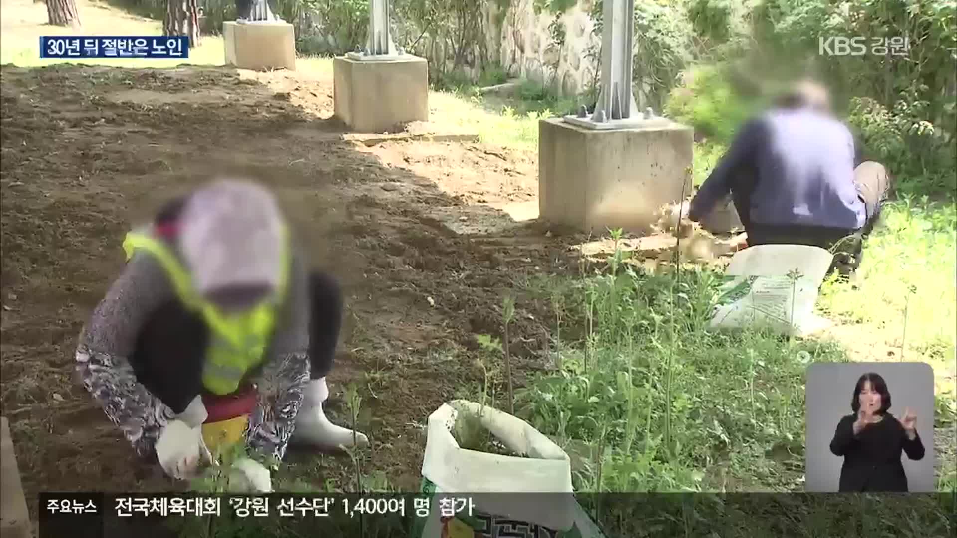 강원 고령화 전국 3번째 높아…2052년 절반이 노인