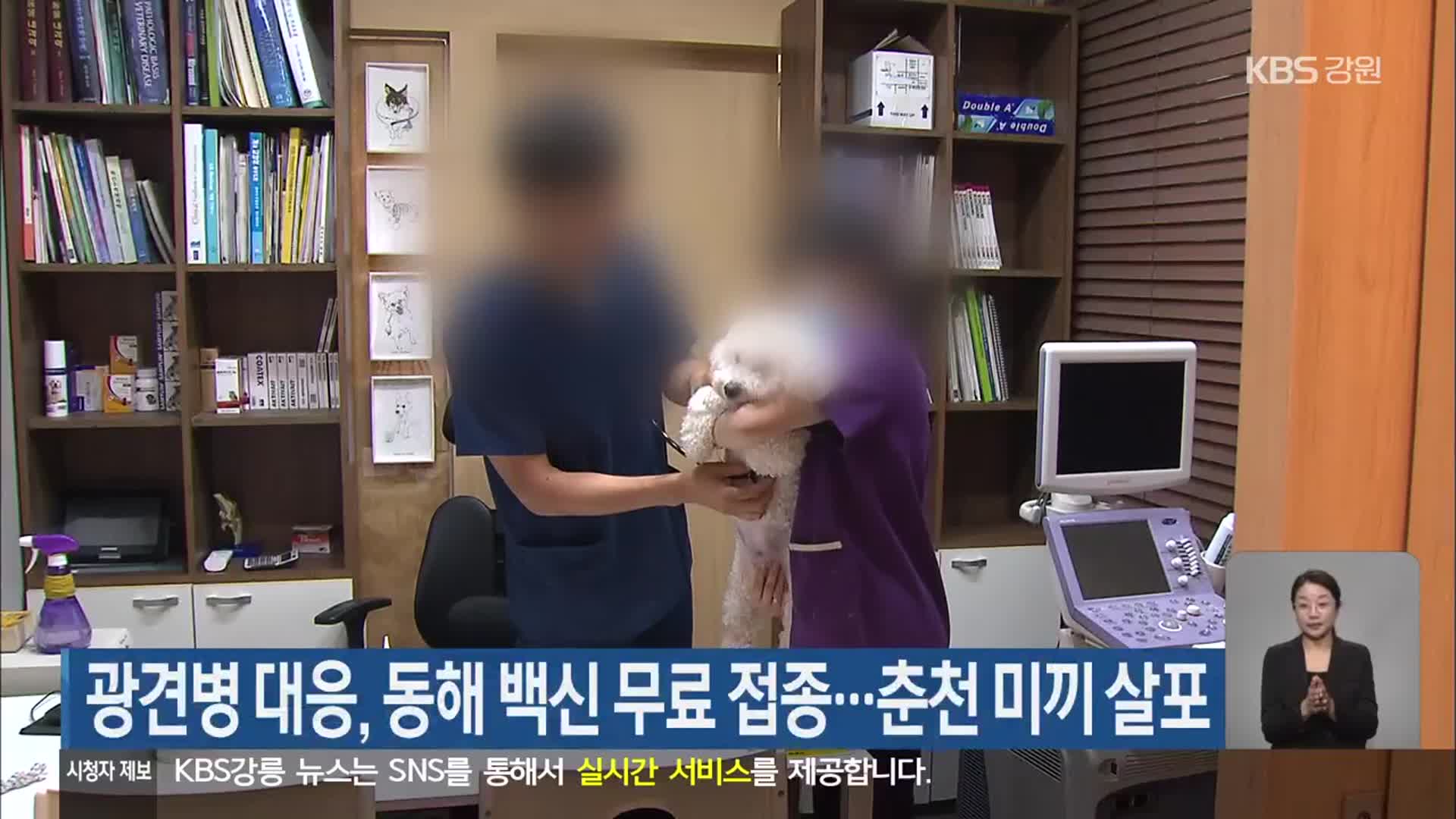 광견병 대응, 동해 백신 무료 접종…춘천 미끼 살포