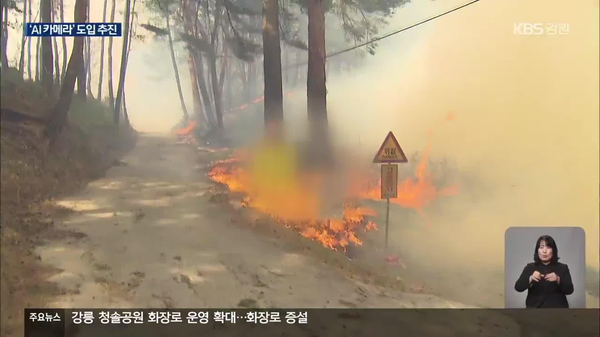 강원 산불 감시 CCTV 실적 저조…AI 카메라 도입 추진