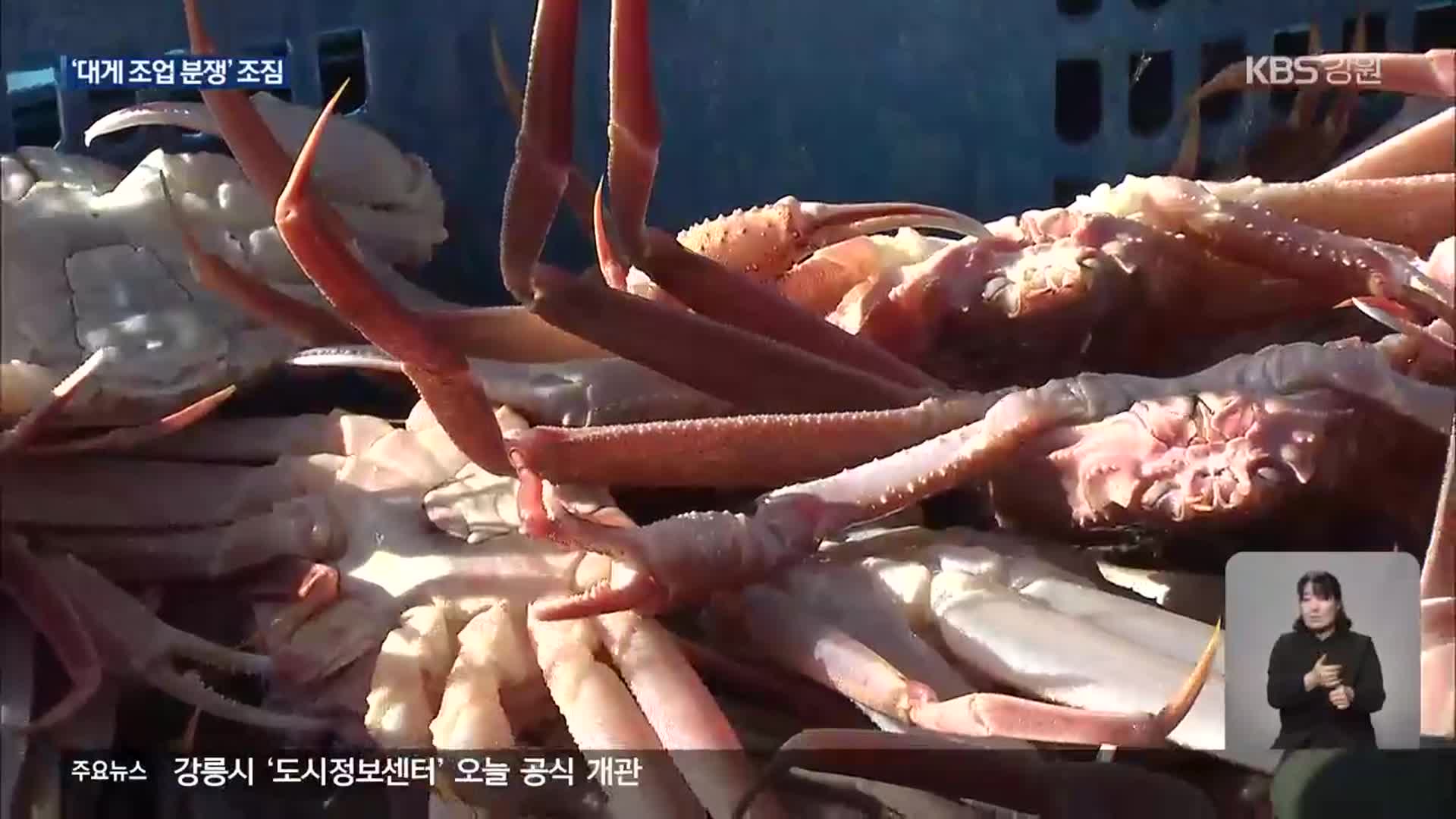 ‘대게 조업 분쟁’ 조짐…단속 근거도 모호