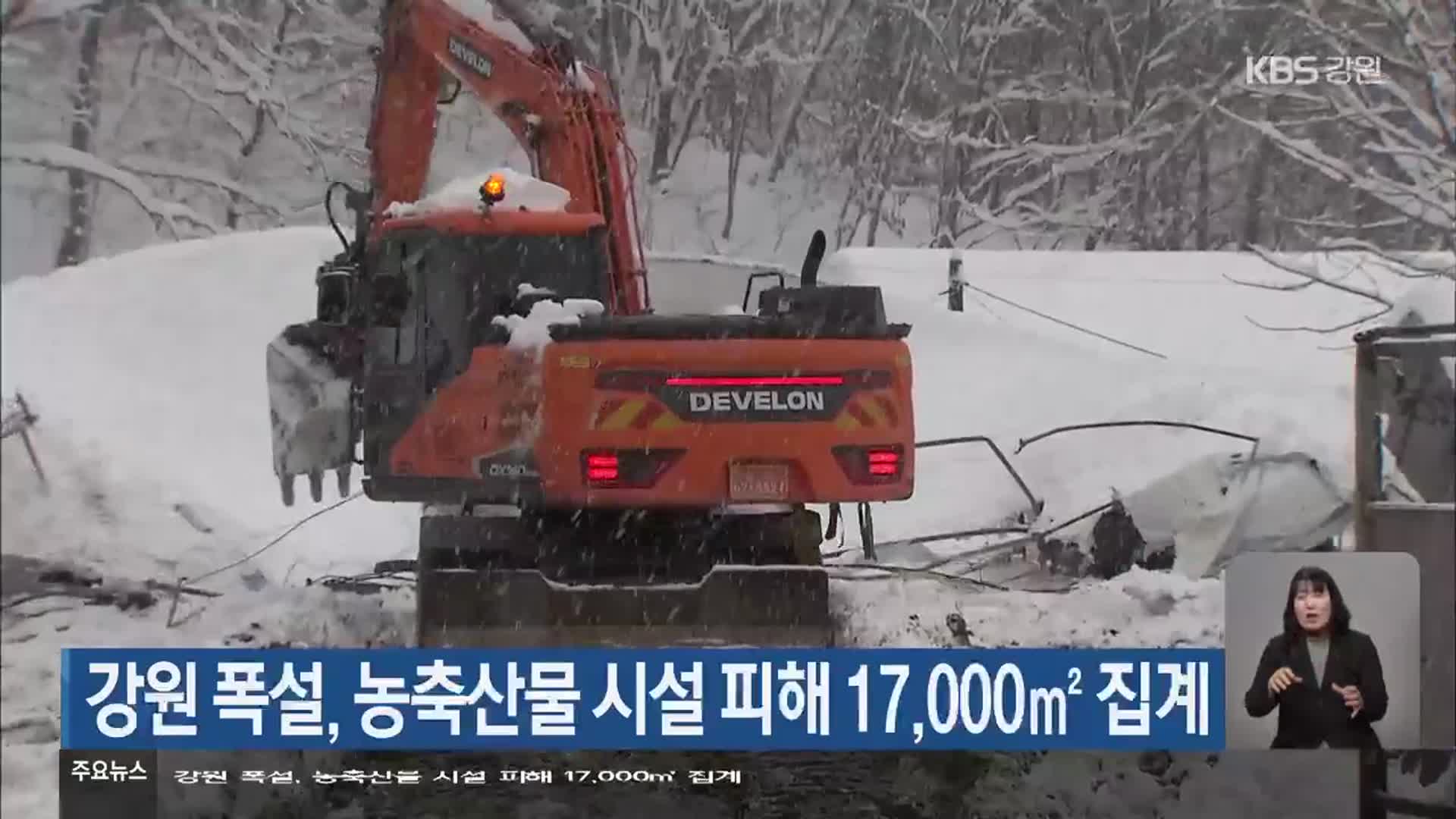 강원 폭설, 농축산물 시설 피해 17,000㎡ 집계