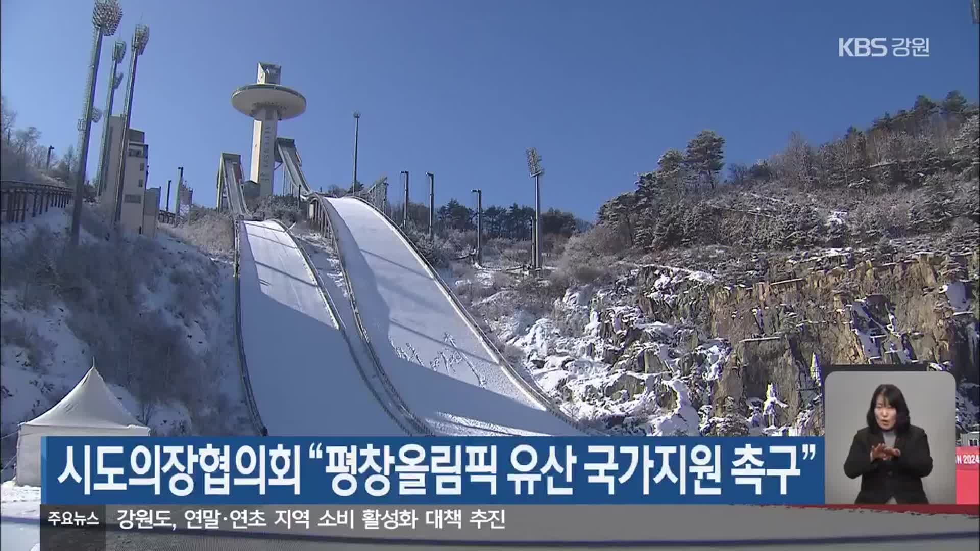 시도의장협의회 “평창올림픽 유산 국가지원 촉구”