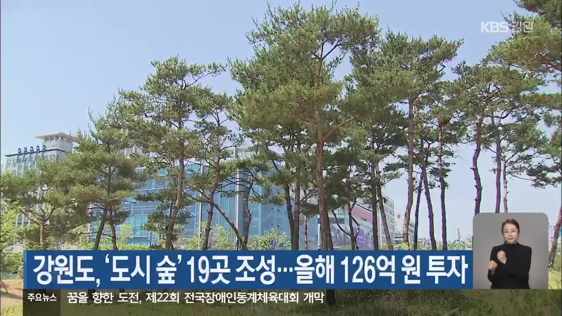 강원도, ‘도시 숲’ 19곳 조성…올해 126억 원 투자