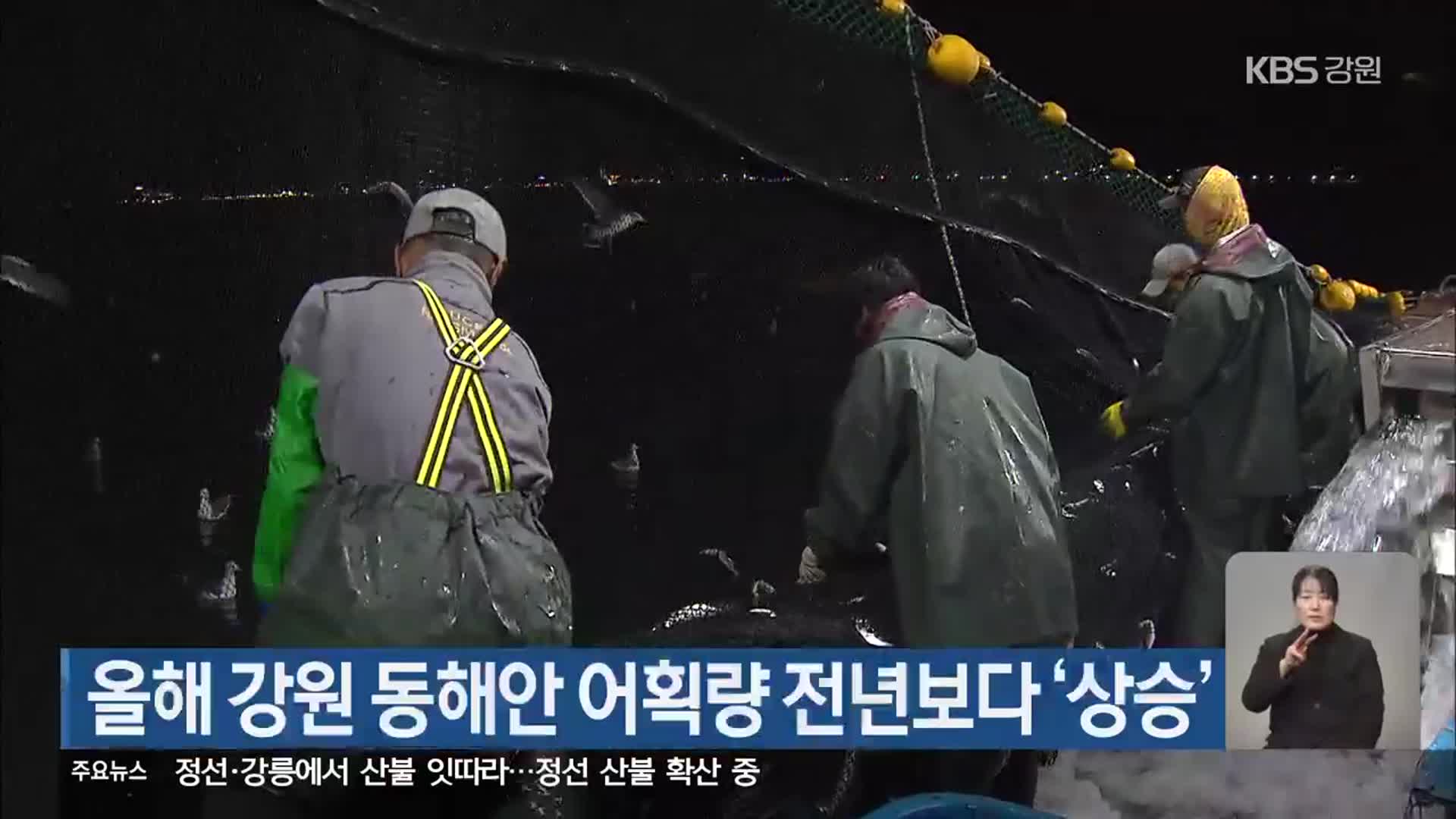 올해 강원 동해안 어획량 전년보다 ‘상승’