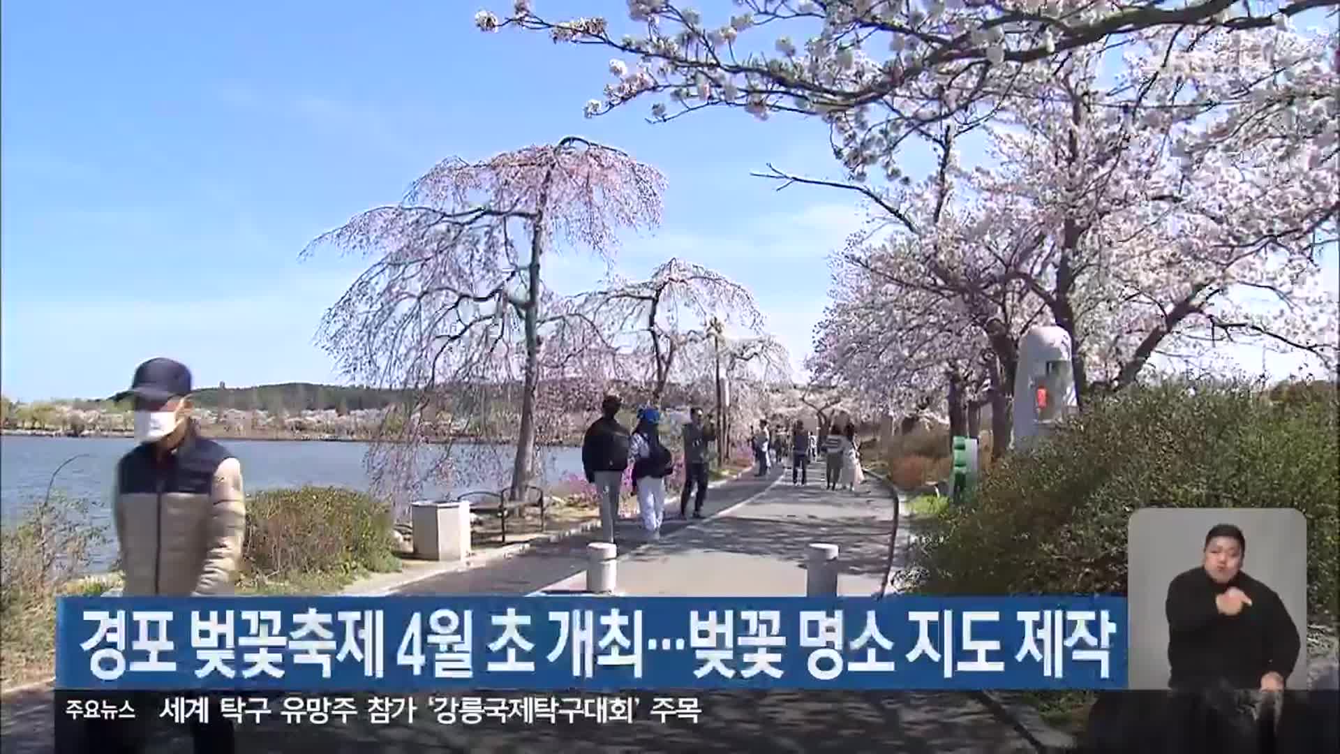 경포 벚꽃축제 4월 초 개최…벚꽃 명소 지도 제작