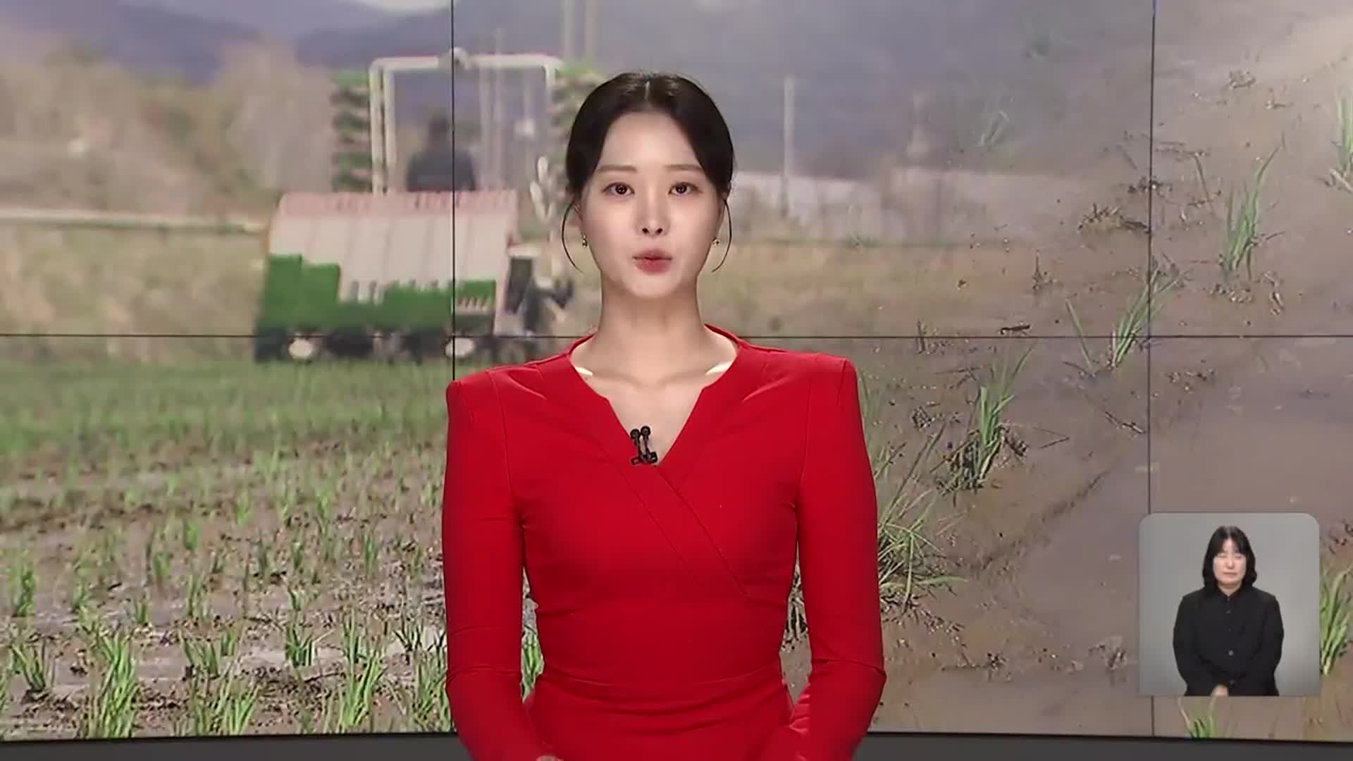 [뉴스9 강릉 오프닝]