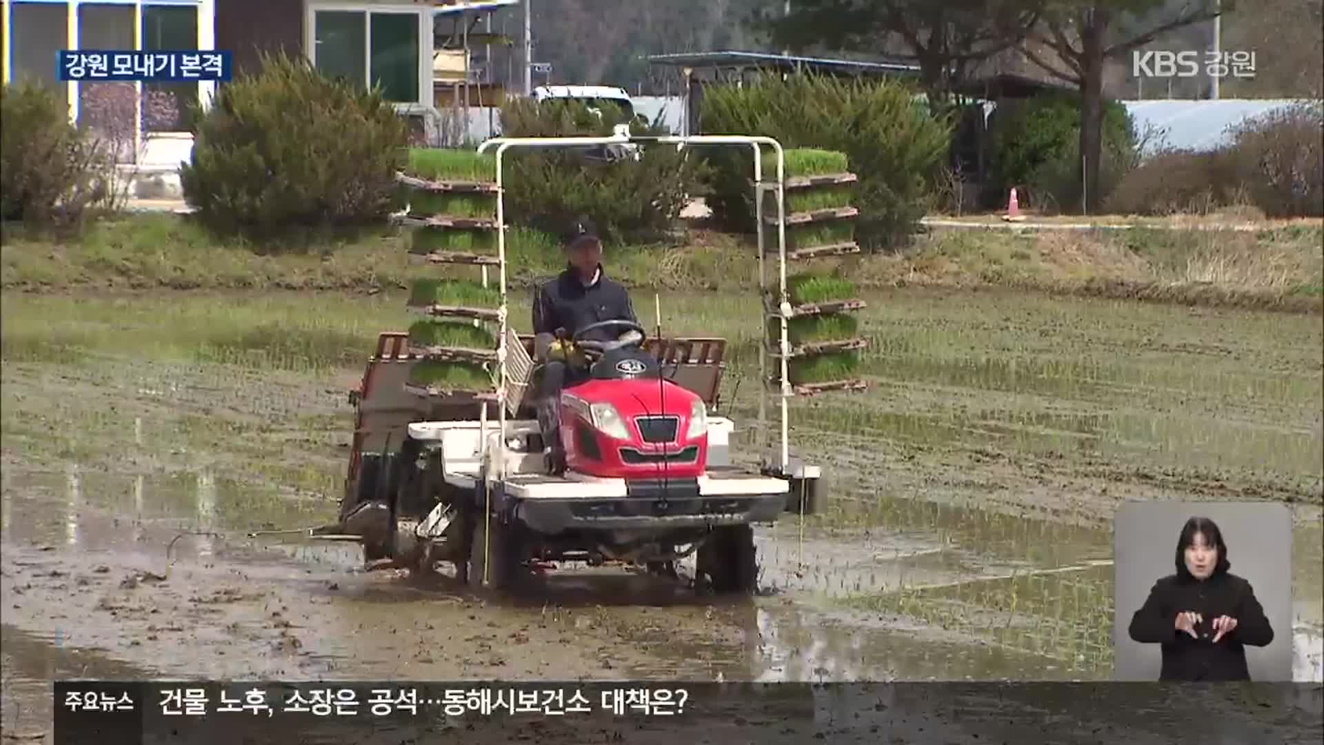 강원도 모내기 본격…“올해 쌀값 좋았으면”