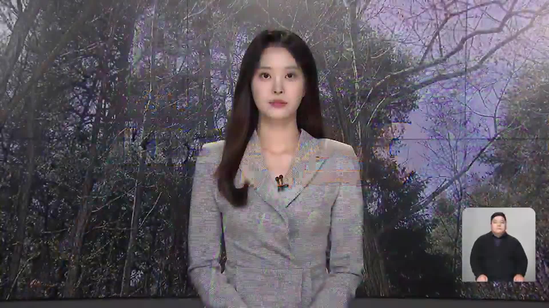 [뉴스9 강릉 오프닝]
