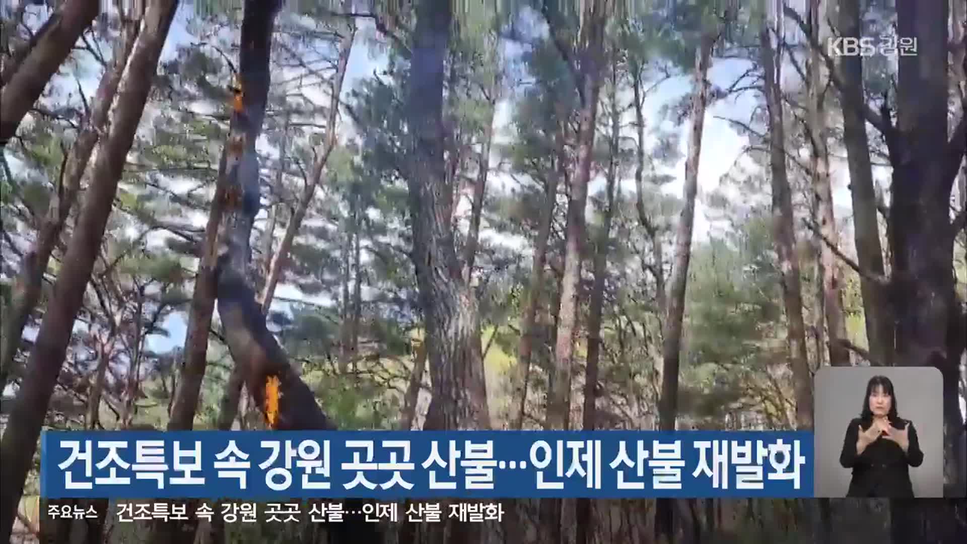 건조특보 속 강원 곳곳 산불…인제 산불 재발화