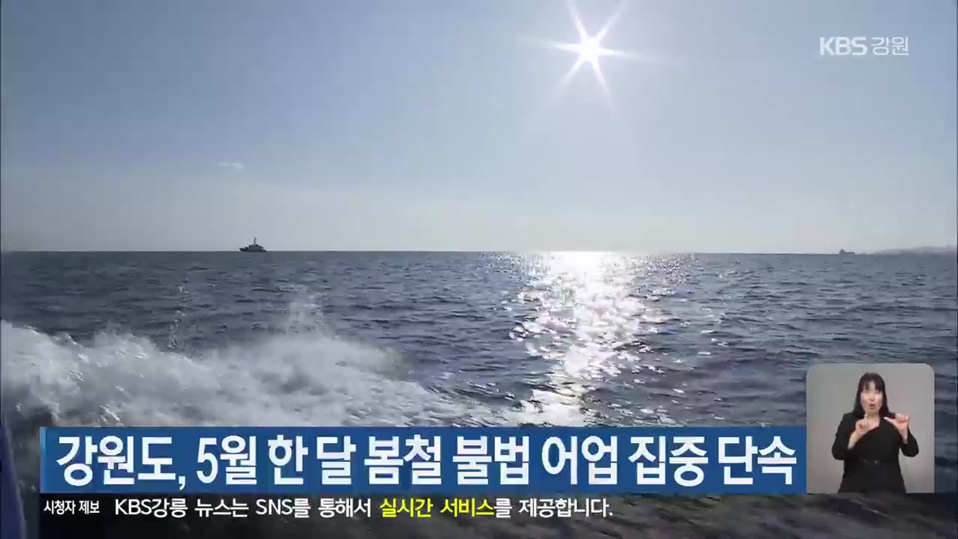 강원도, 5월 한 달 봄철 불법 어업 집중 단속